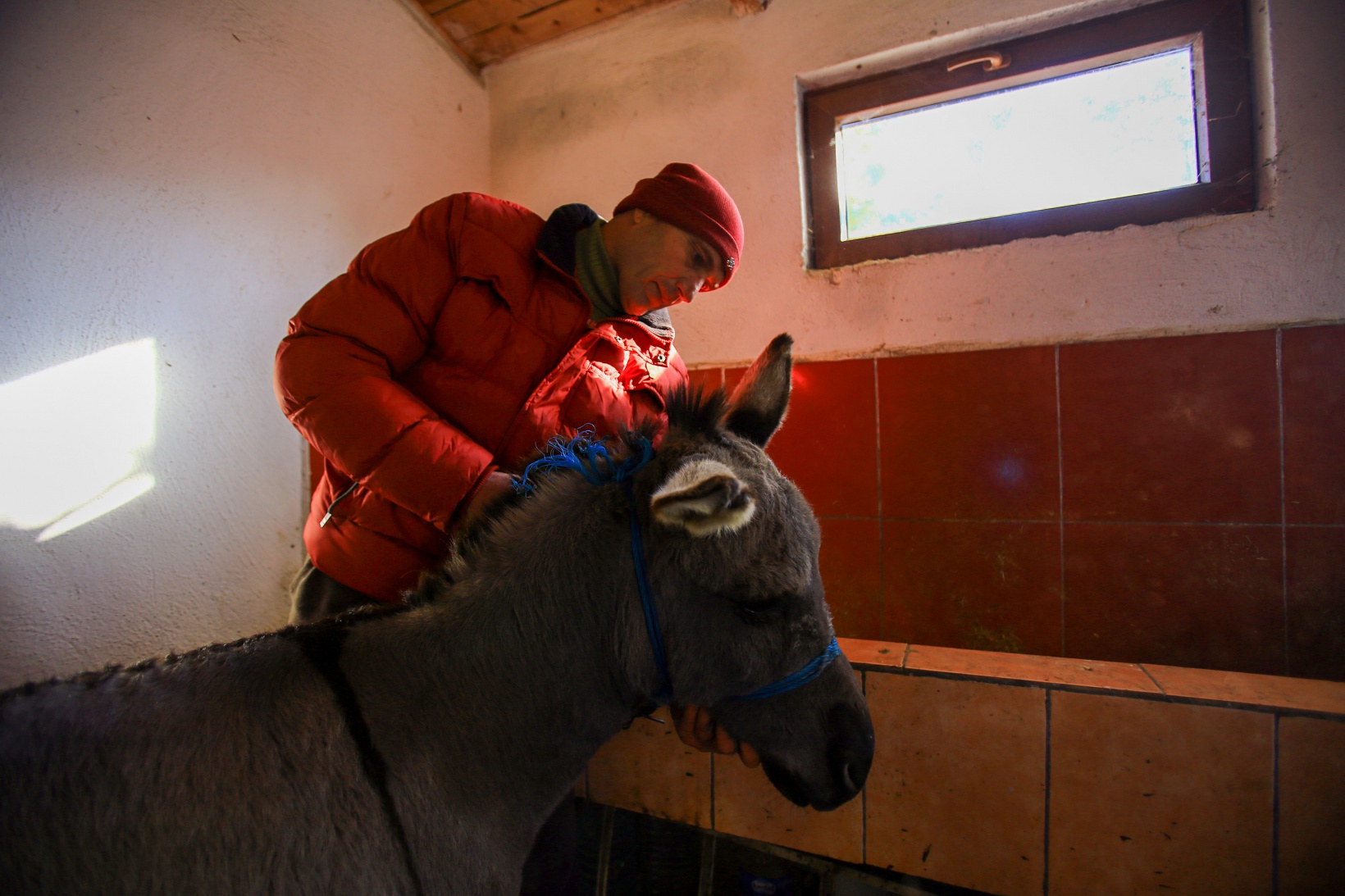 Kendisini 'diplomalı eşek bakıcısı' olarak nitelendiren vatandaştan insanlık dersi 1