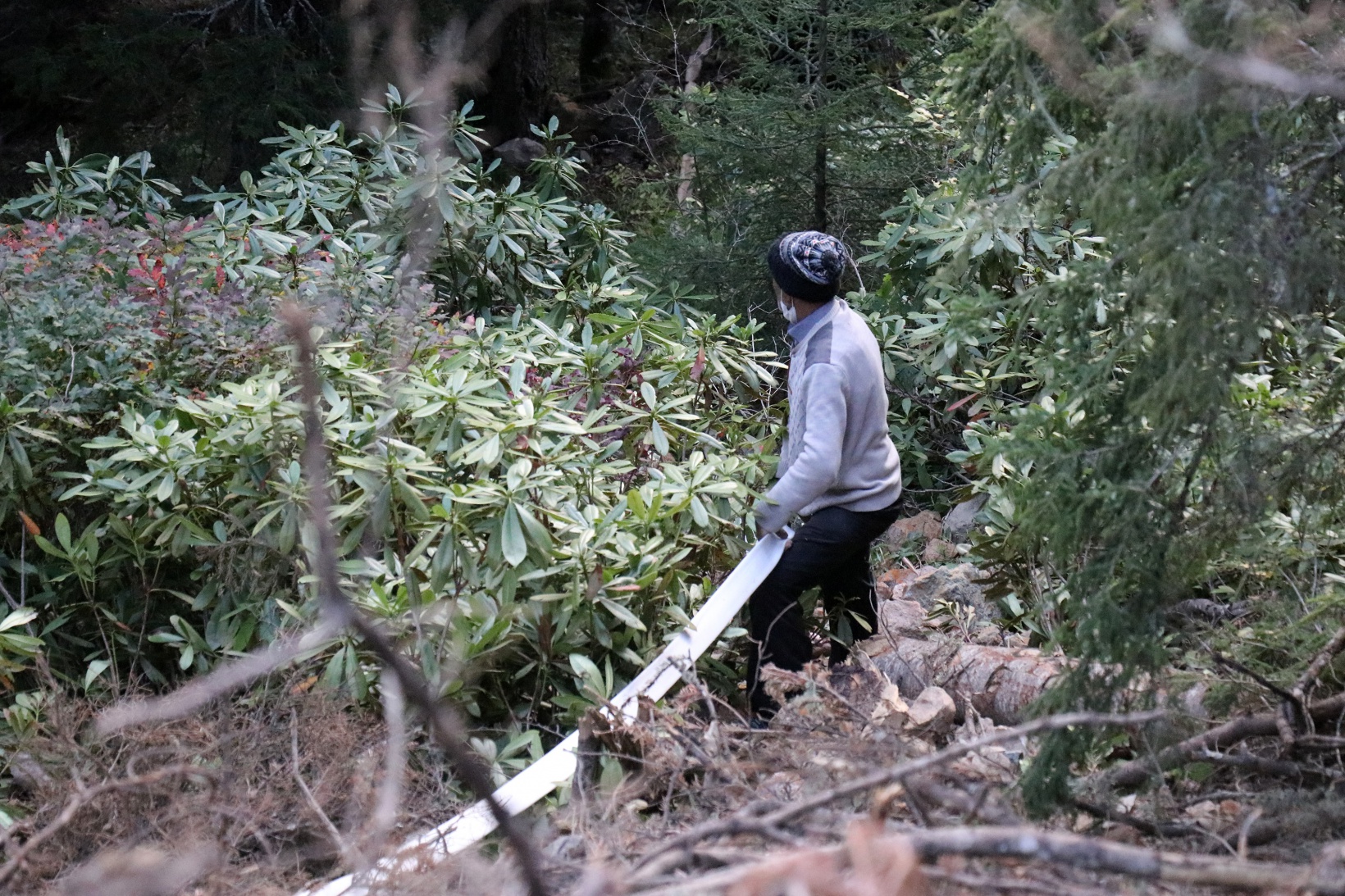 Kürtün’deki yangınlara müdahale devam ediyor 4