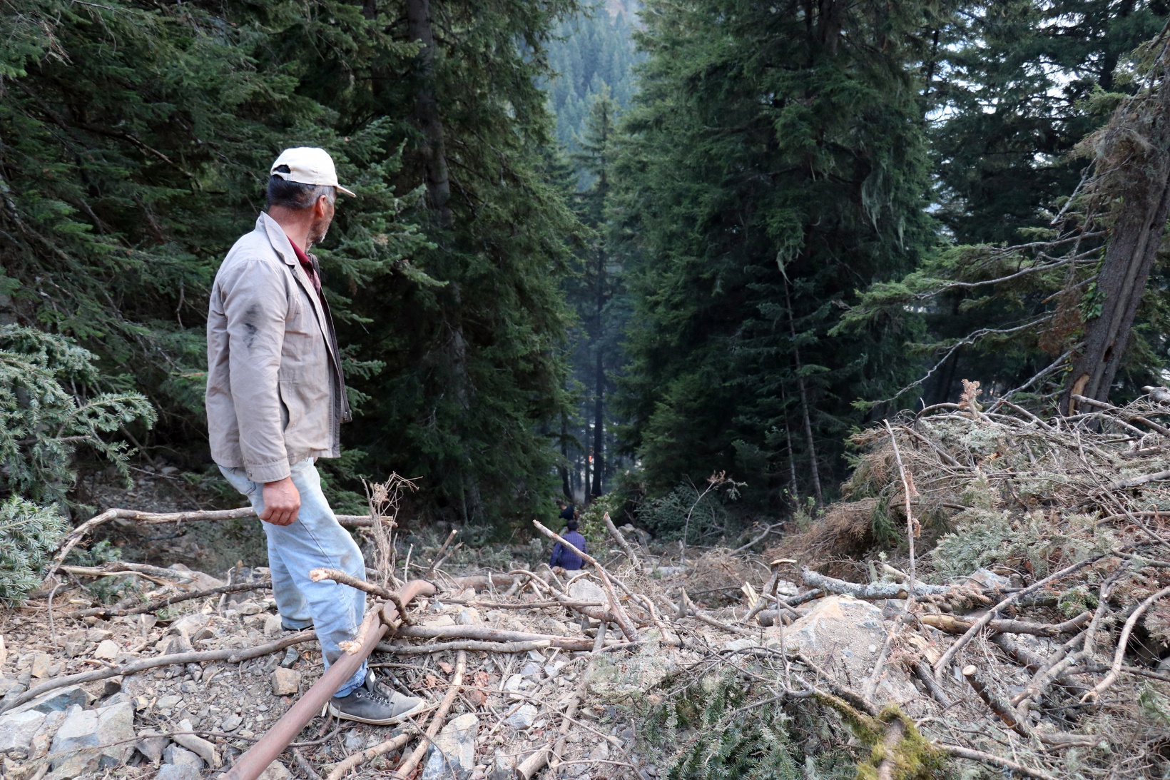 Kürtün’deki yangınlara müdahale devam ediyor 24