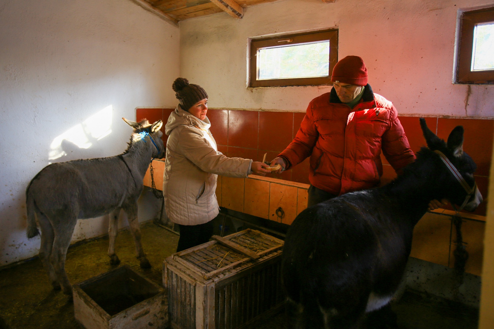 Kendisini 'diplomalı eşek bakıcısı' olarak nitelendiren vatandaştan insanlık dersi 2