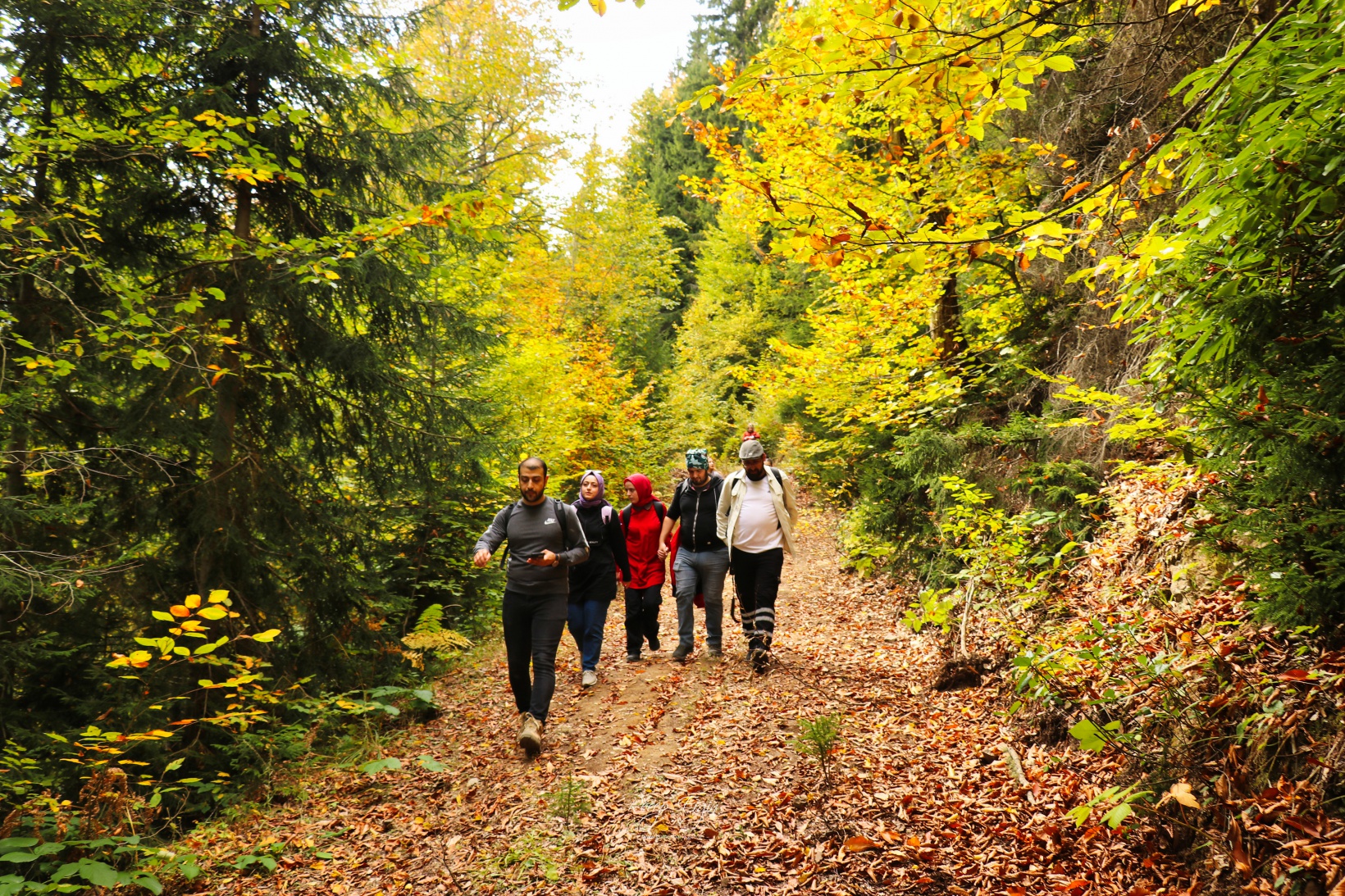 Doğa harikası Örümcek Ormanlarında renk cümbüşü başladı 39