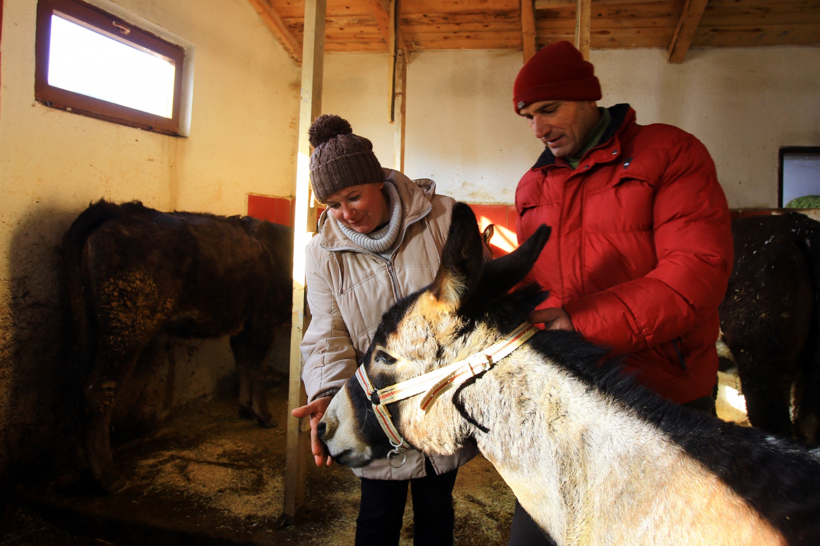 Kendisini 'diplomalı eşek bakıcısı' olarak nitelendiren vatandaştan insanlık dersi 4
