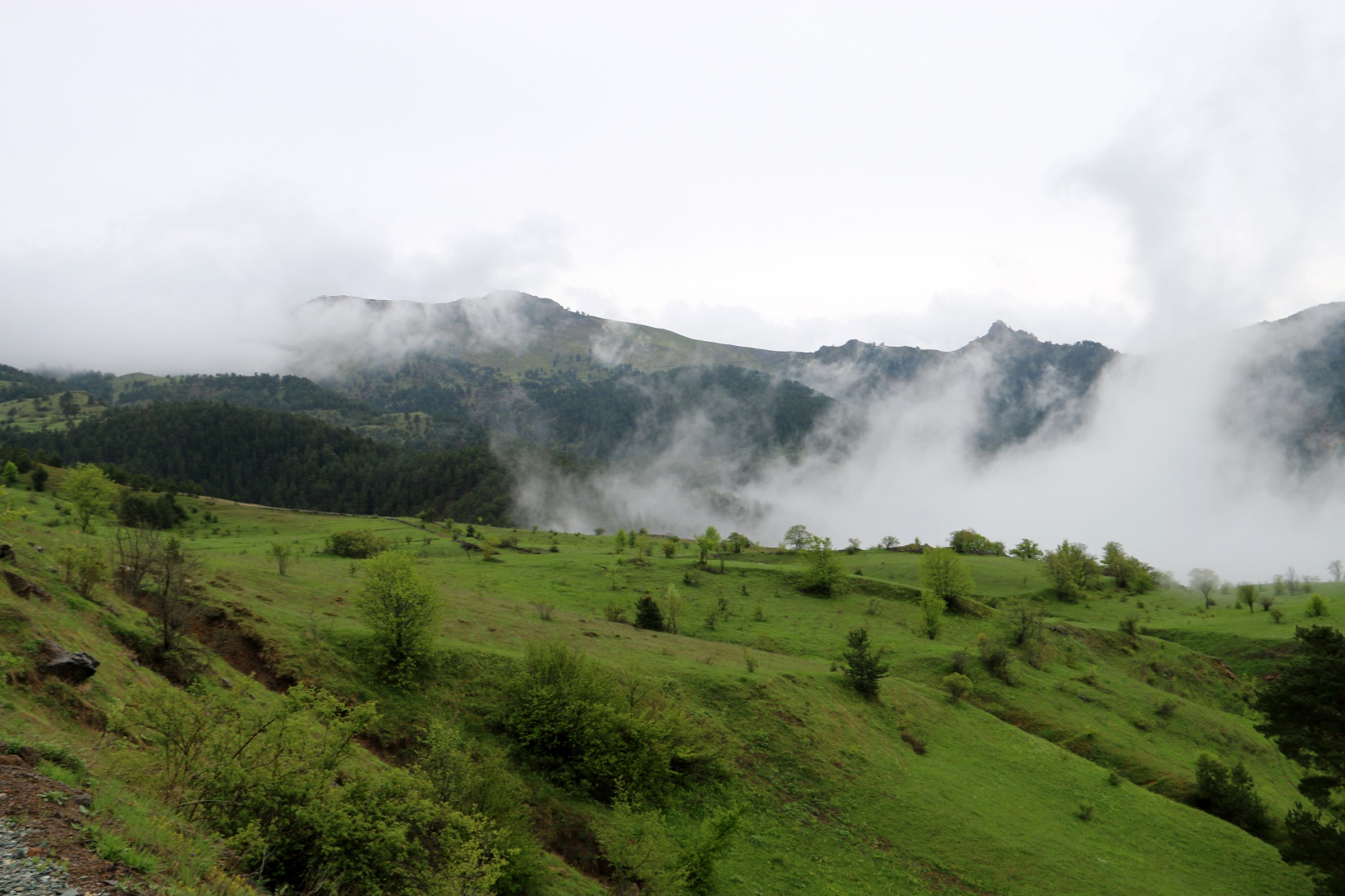 Gençler 19 Mayıs’ı Altınpınar Gölünde kutladı 1