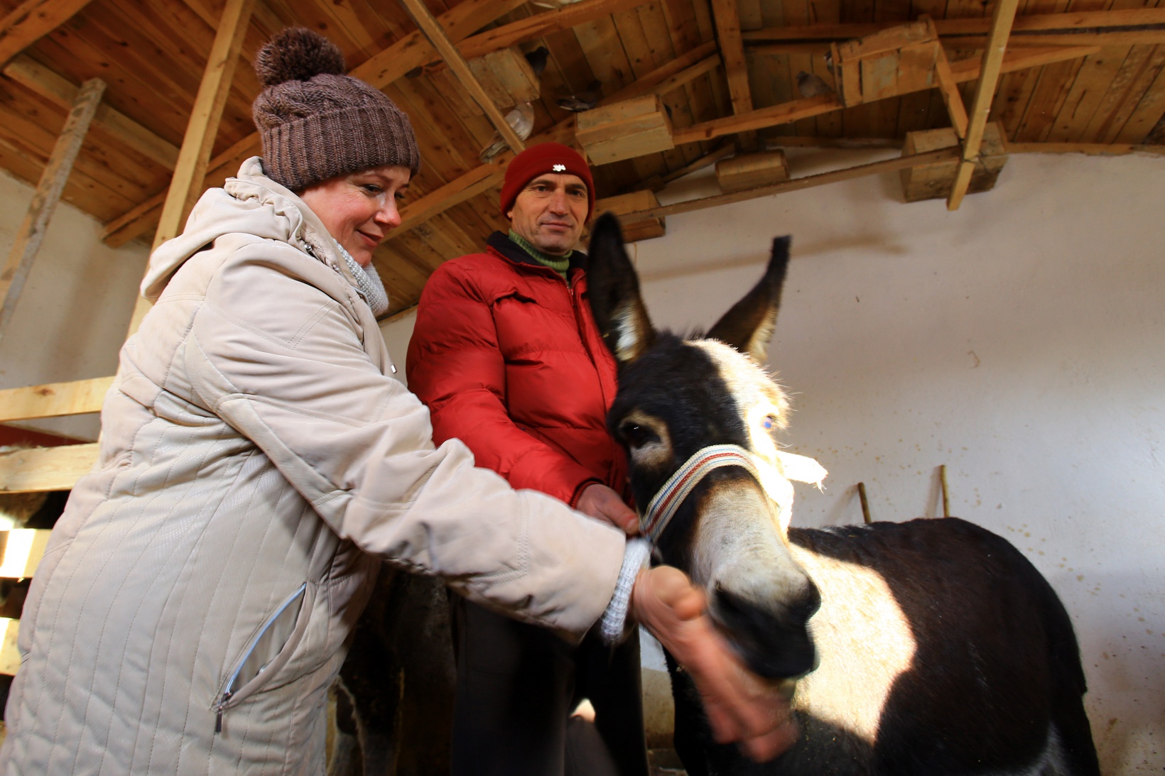 Kendisini 'diplomalı eşek bakıcısı' olarak nitelendiren vatandaştan insanlık dersi 13