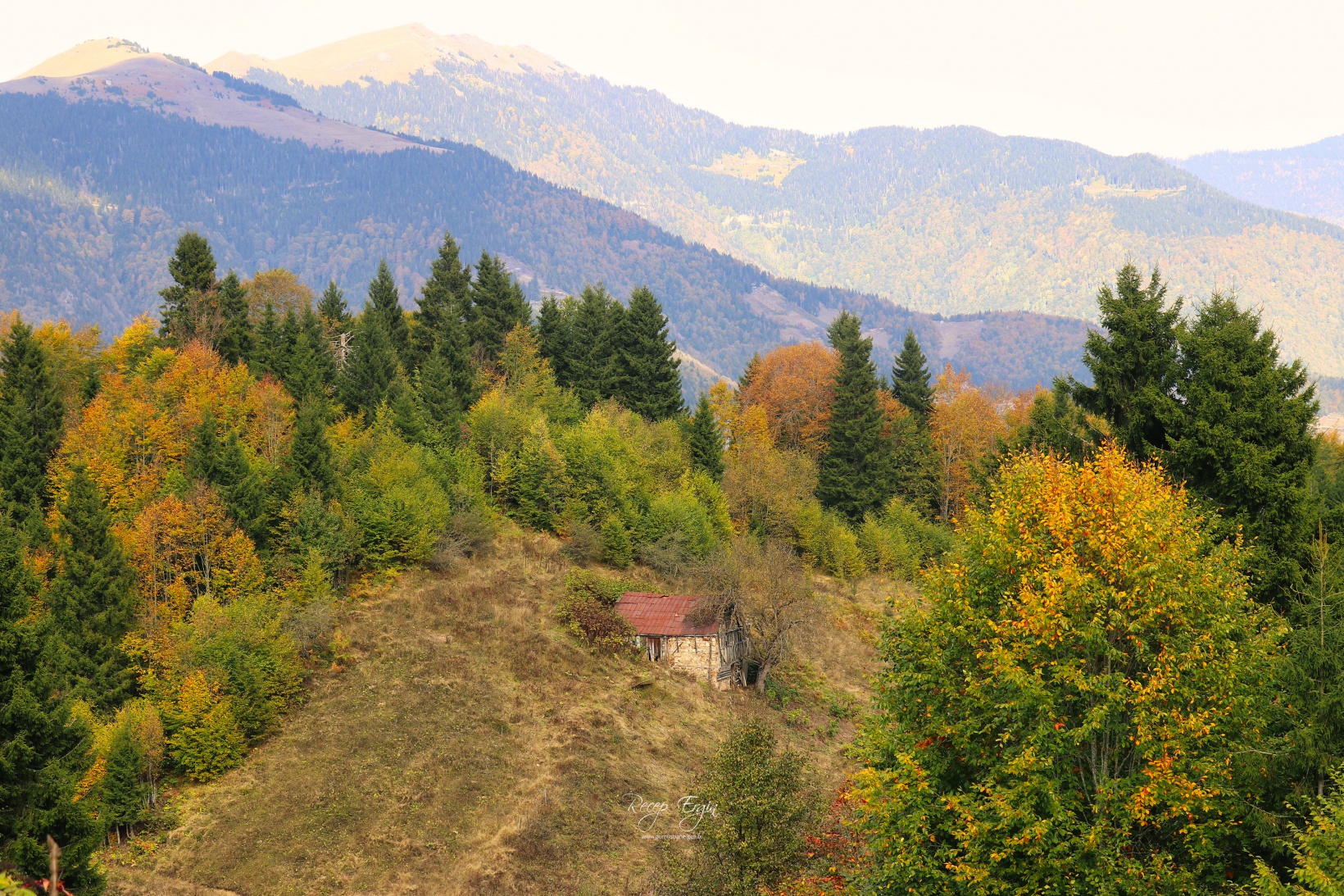 Doğa harikası Örümcek Ormanlarında renk cümbüşü başladı 53