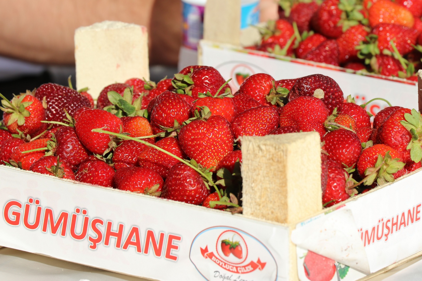 Gümüşhane’de çilek bereketi 38