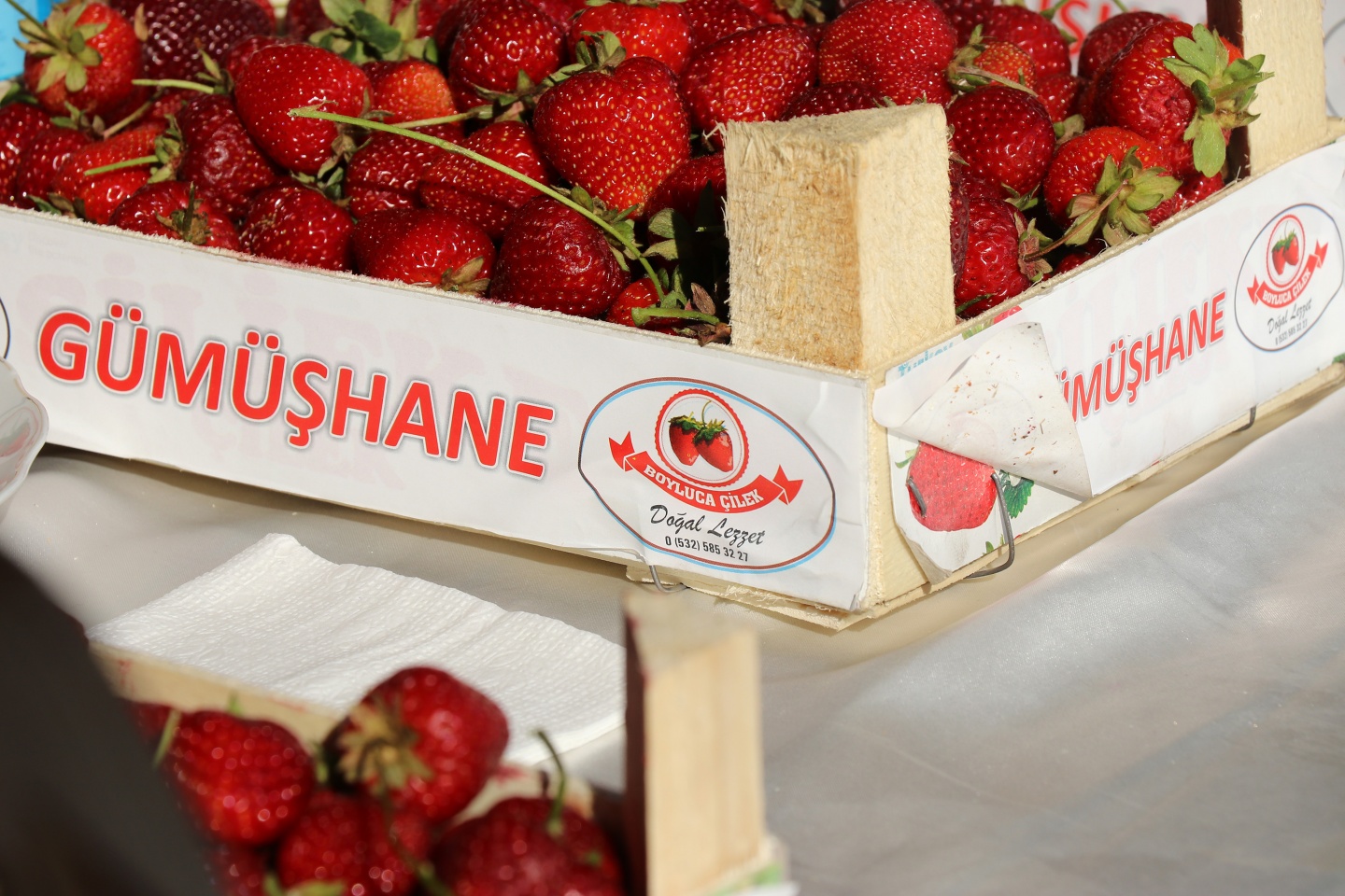 Gümüşhane’de çilek bereketi 47