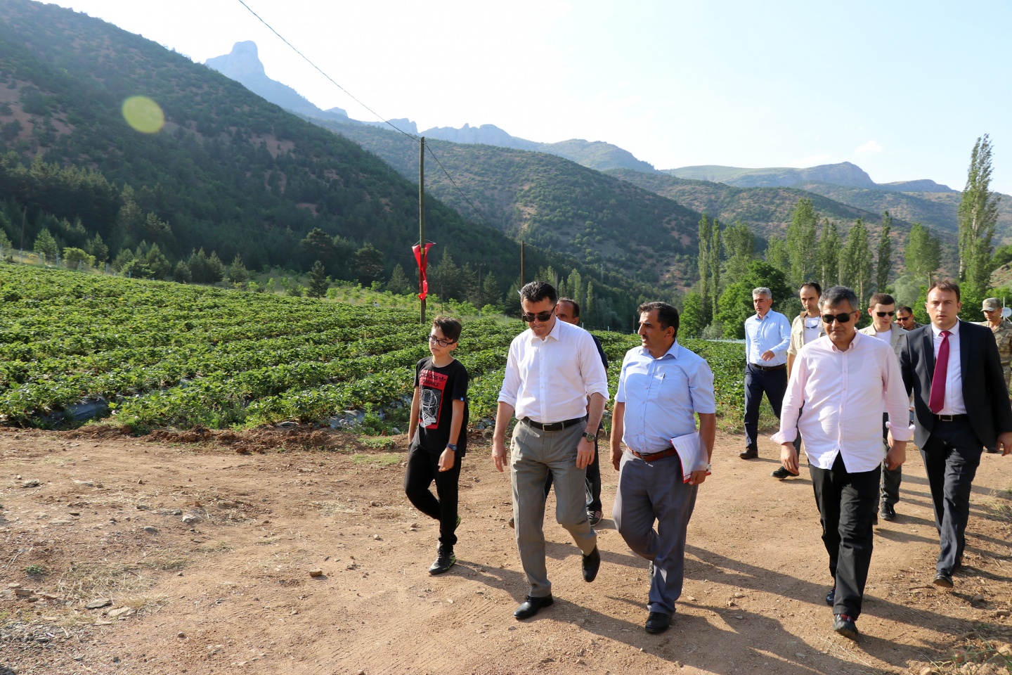 Gümüşhane’de çilek bereketi 35