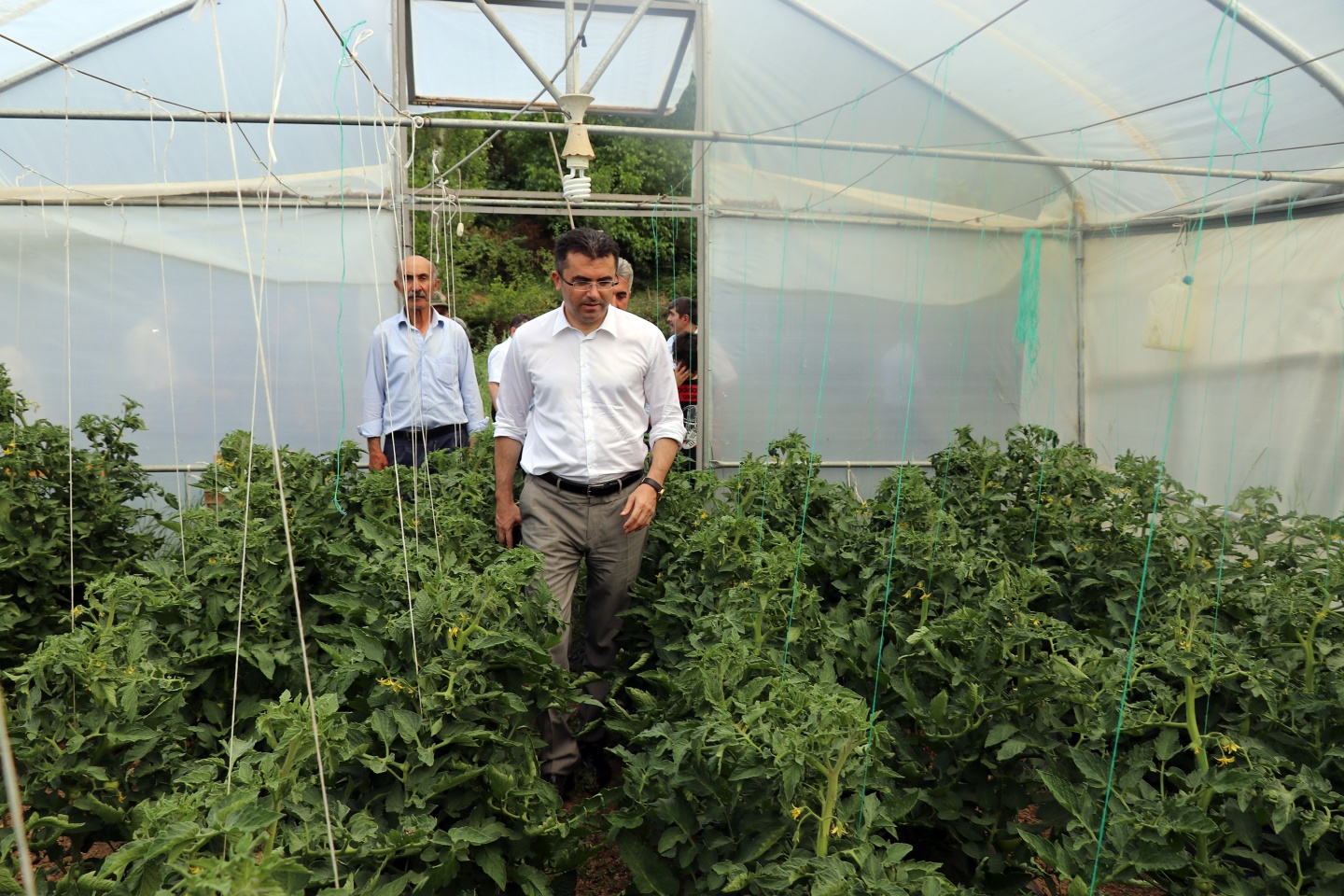 Gümüşhane’de çilek bereketi 19