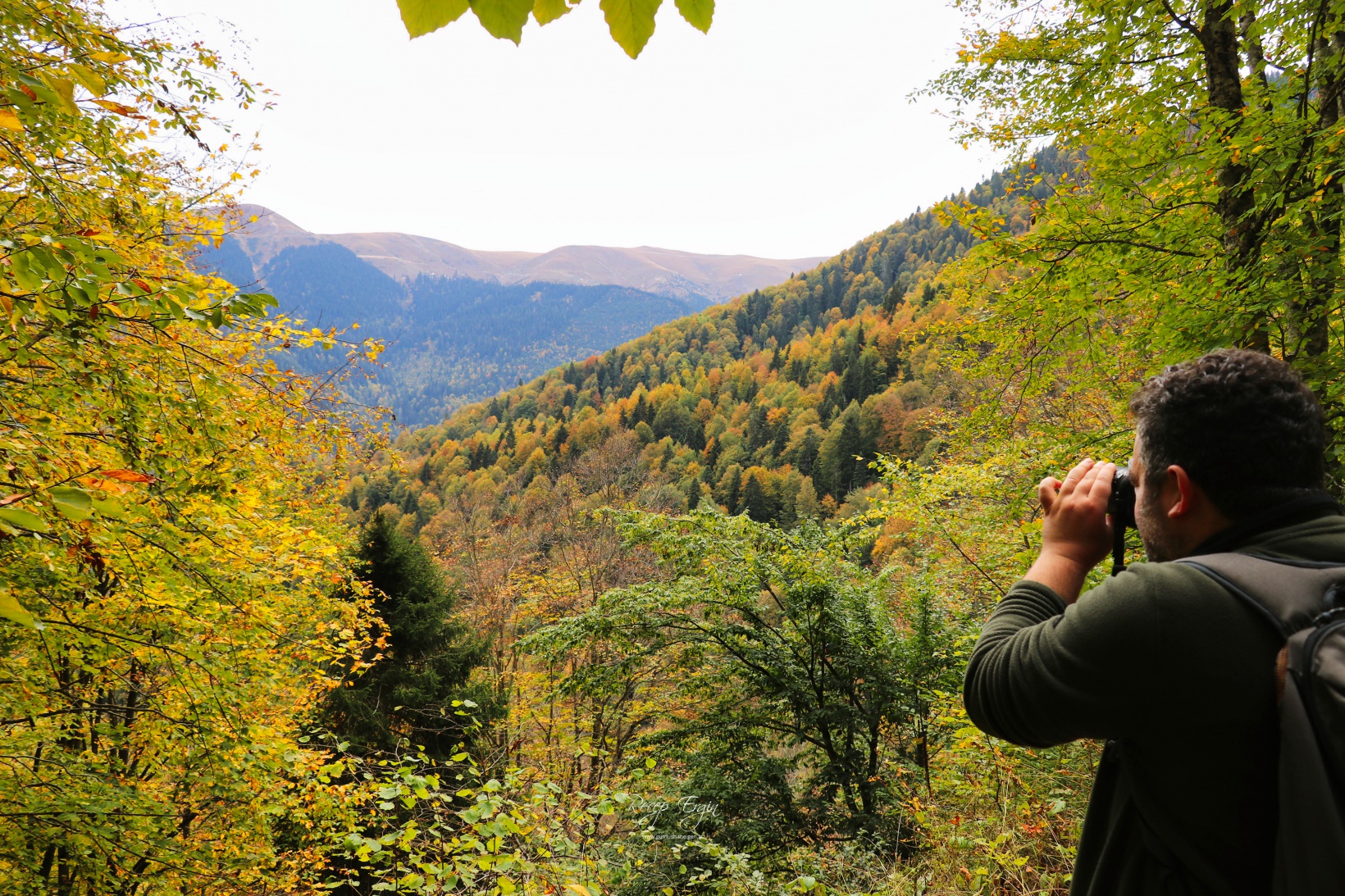 Doğa harikası Örümcek Ormanlarında renk cümbüşü başladı 48