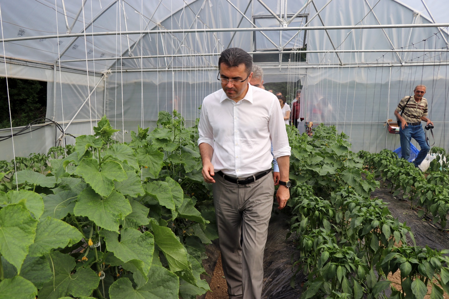 Gümüşhane’de çilek bereketi 31