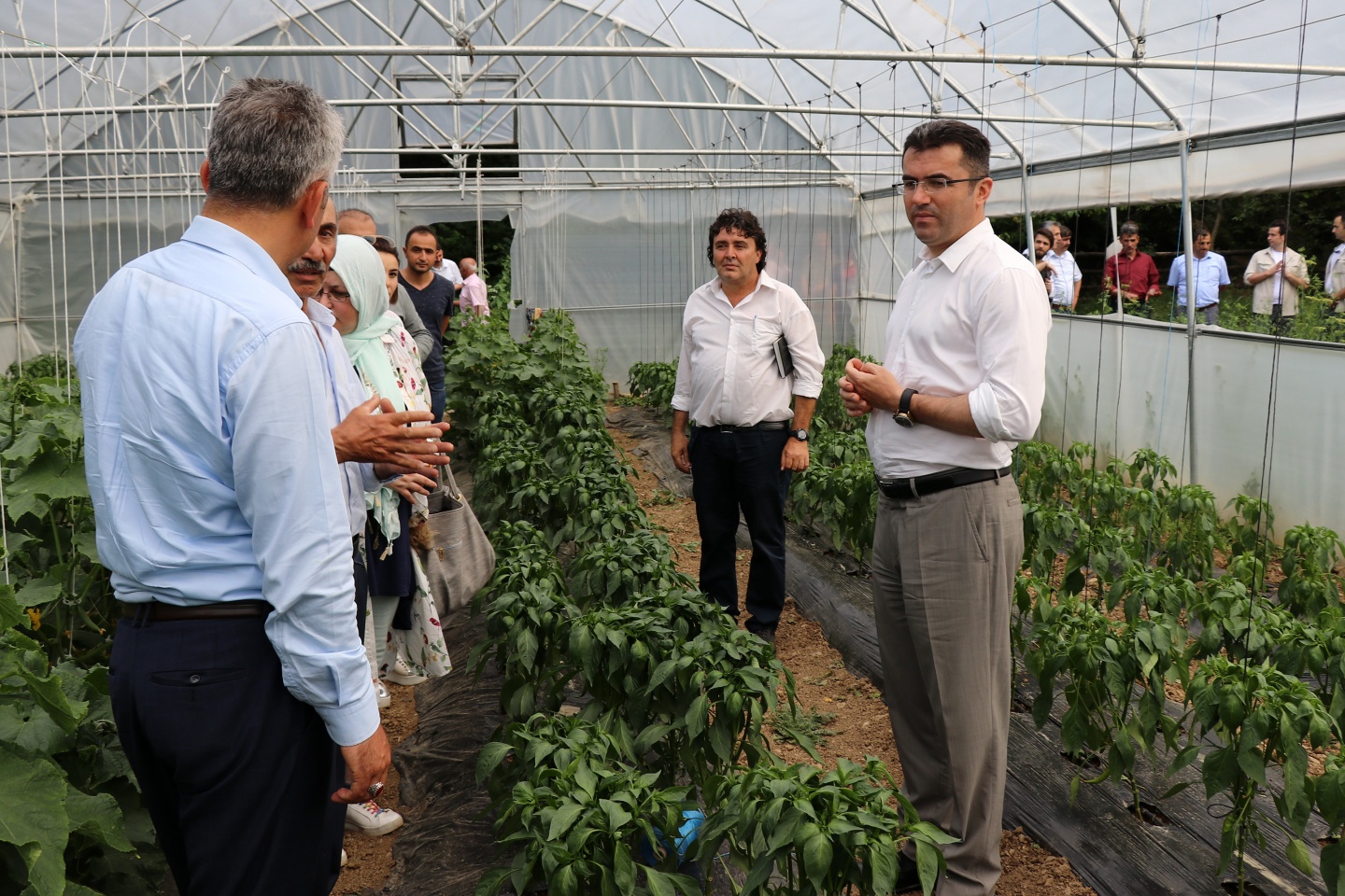 Gümüşhane’de çilek bereketi 33