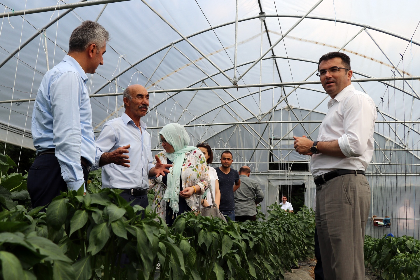 Gümüşhane’de çilek bereketi 46