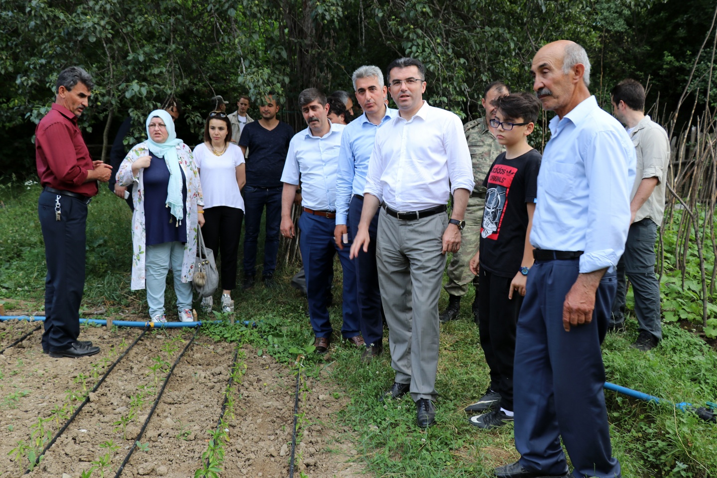 Gümüşhane’de çilek bereketi 4