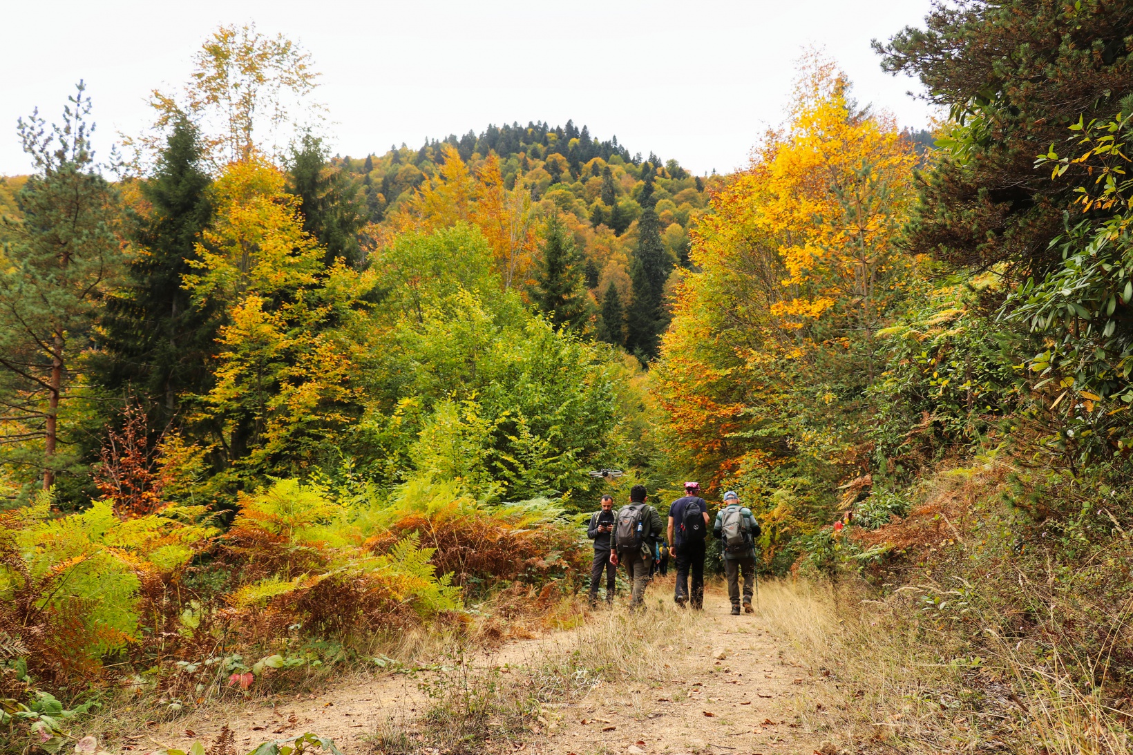 Doğa harikası Örümcek Ormanlarında renk cümbüşü başladı 29