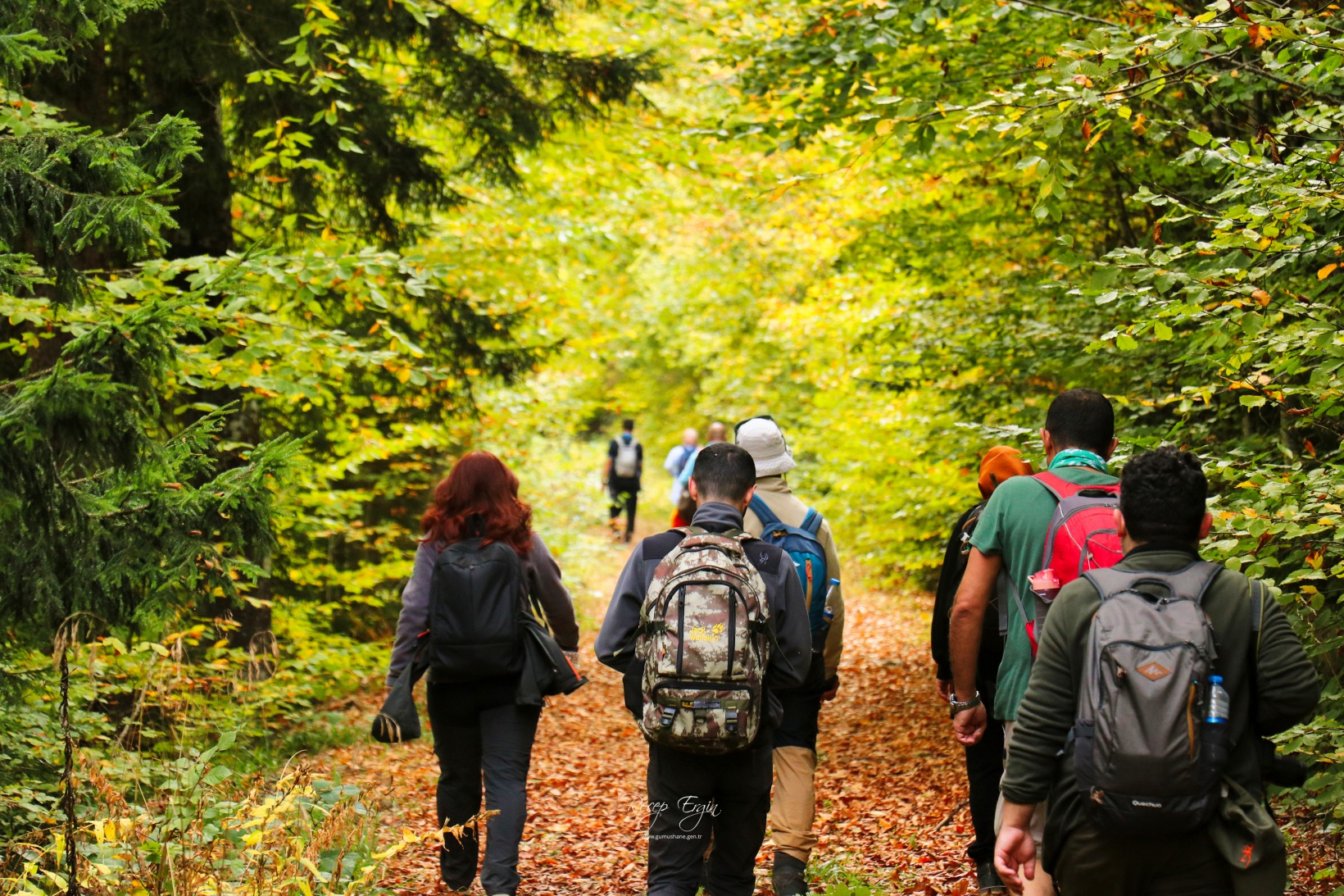 Doğa harikası Örümcek Ormanlarında renk cümbüşü başladı 18