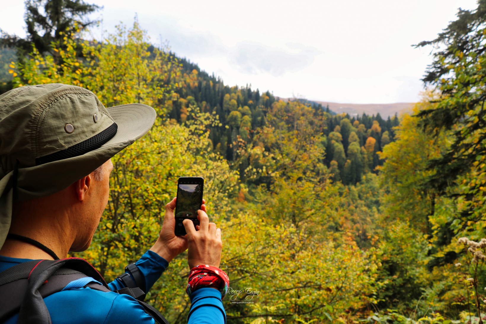 Doğa harikası Örümcek Ormanlarında renk cümbüşü başladı 3