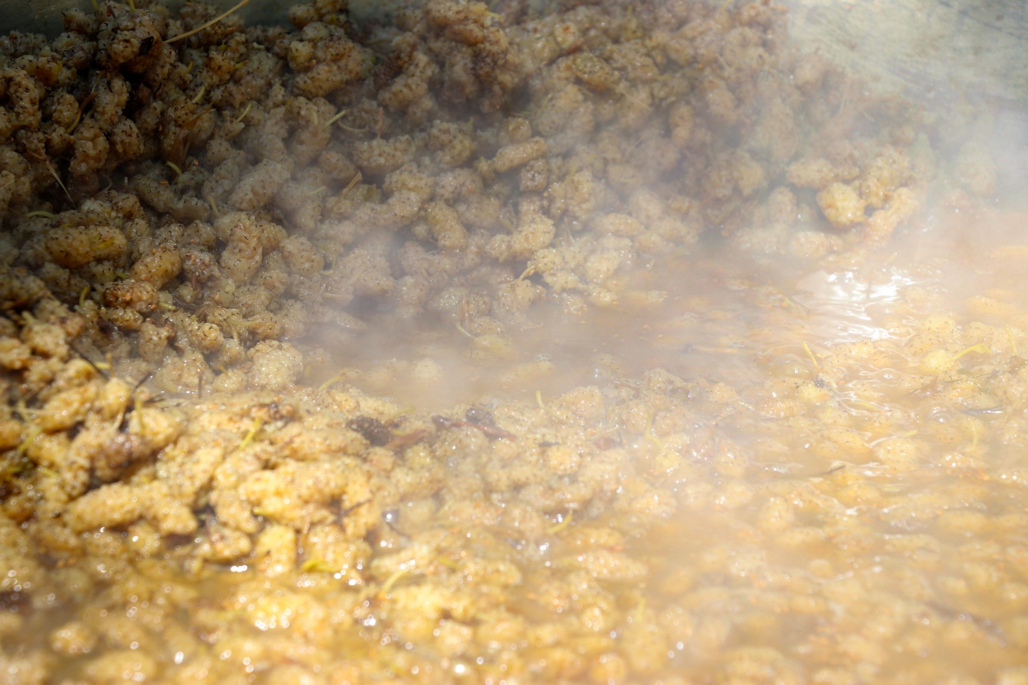 Şifa kaynağı dut pekmezinin zorlu serüveni 1