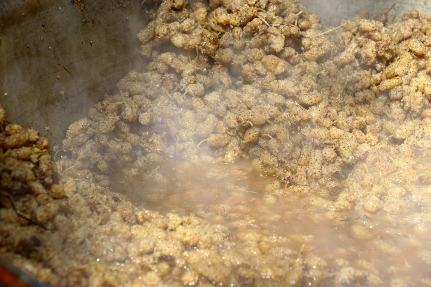 Şifa kaynağı dut pekmezinin zorlu serüveni 2