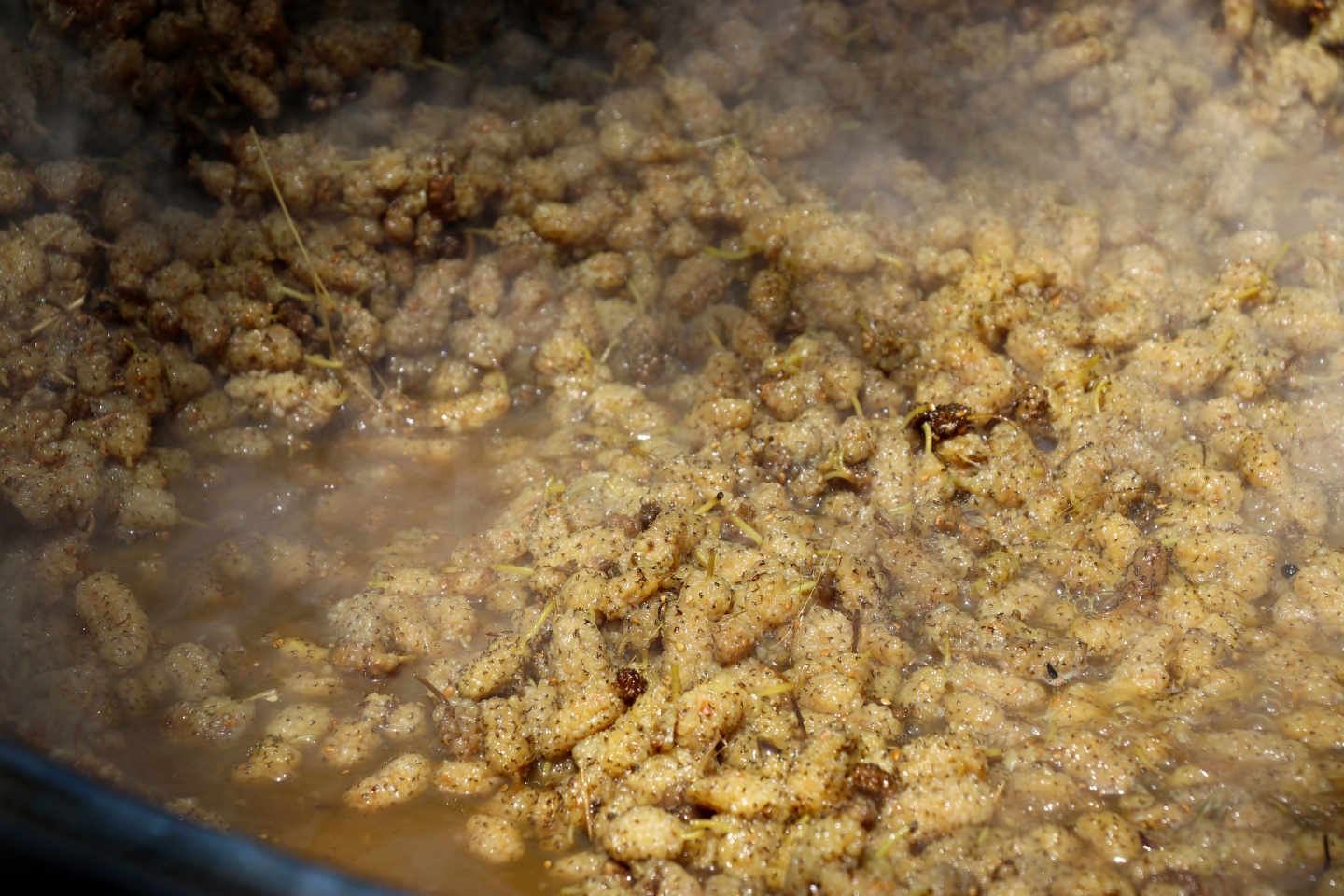 Şifa kaynağı dut pekmezinin zorlu serüveni 4