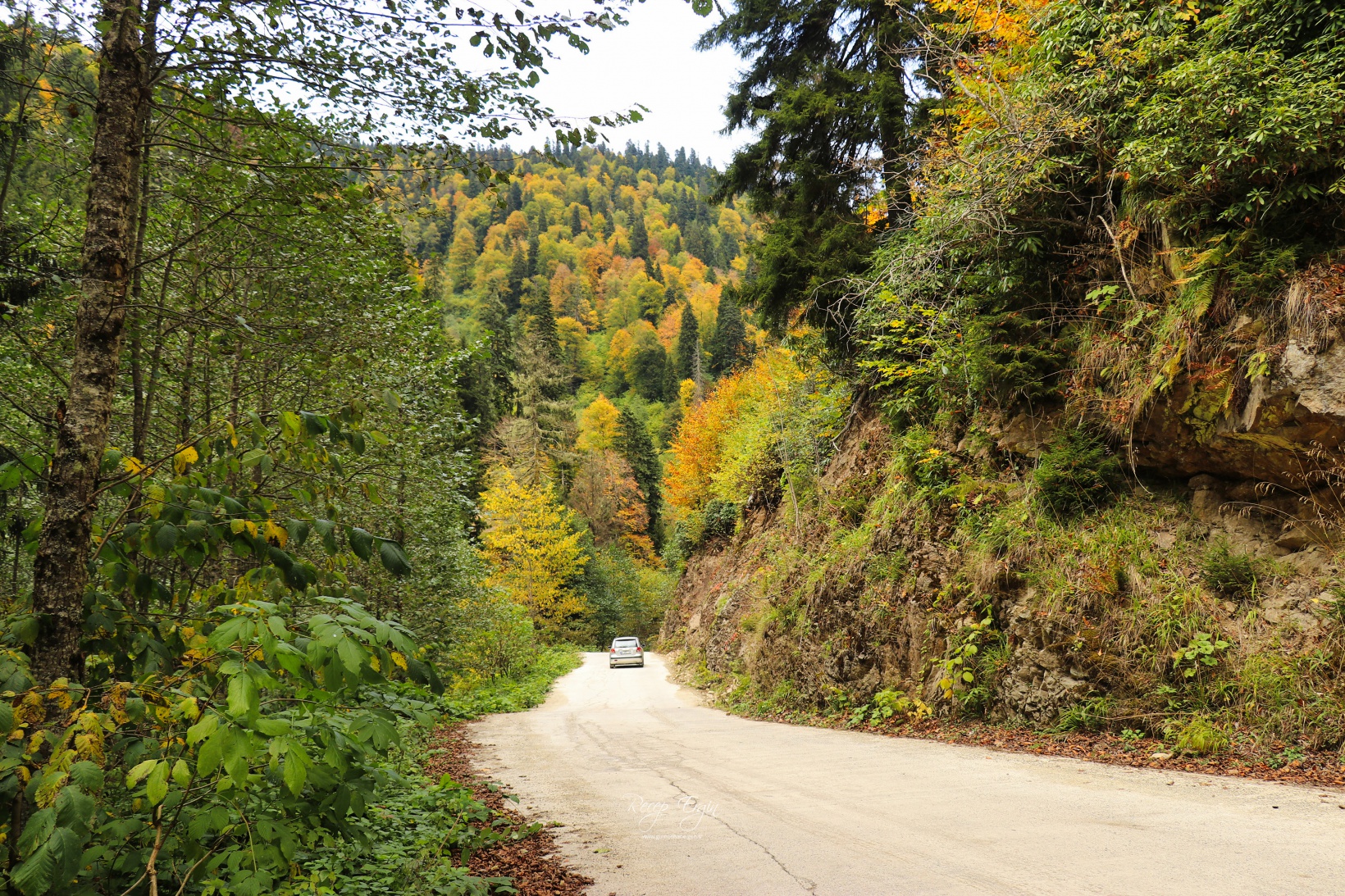 Doğa harikası Örümcek Ormanlarında renk cümbüşü başladı 50