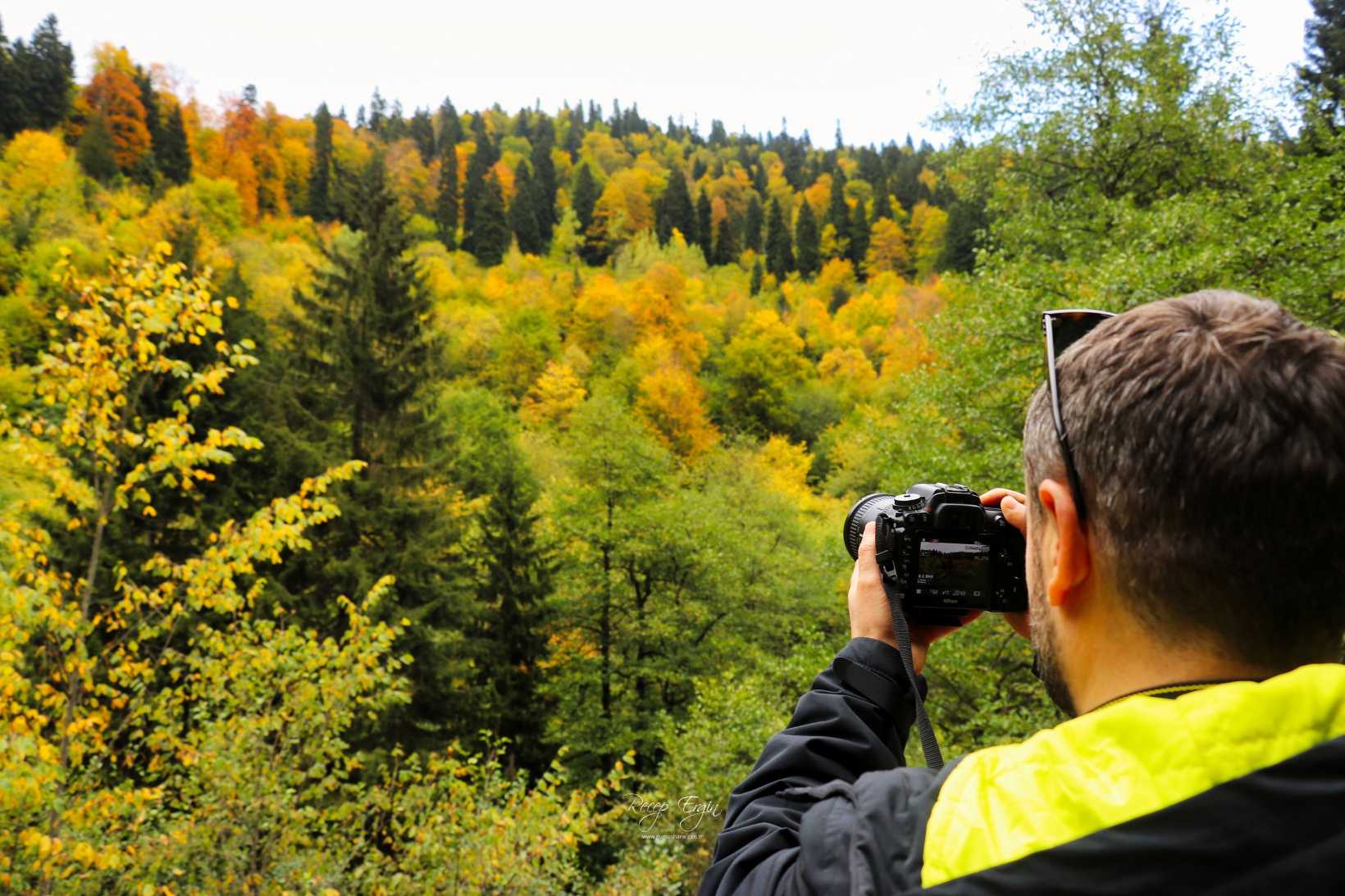 Doğa harikası Örümcek Ormanlarında renk cümbüşü başladı 33