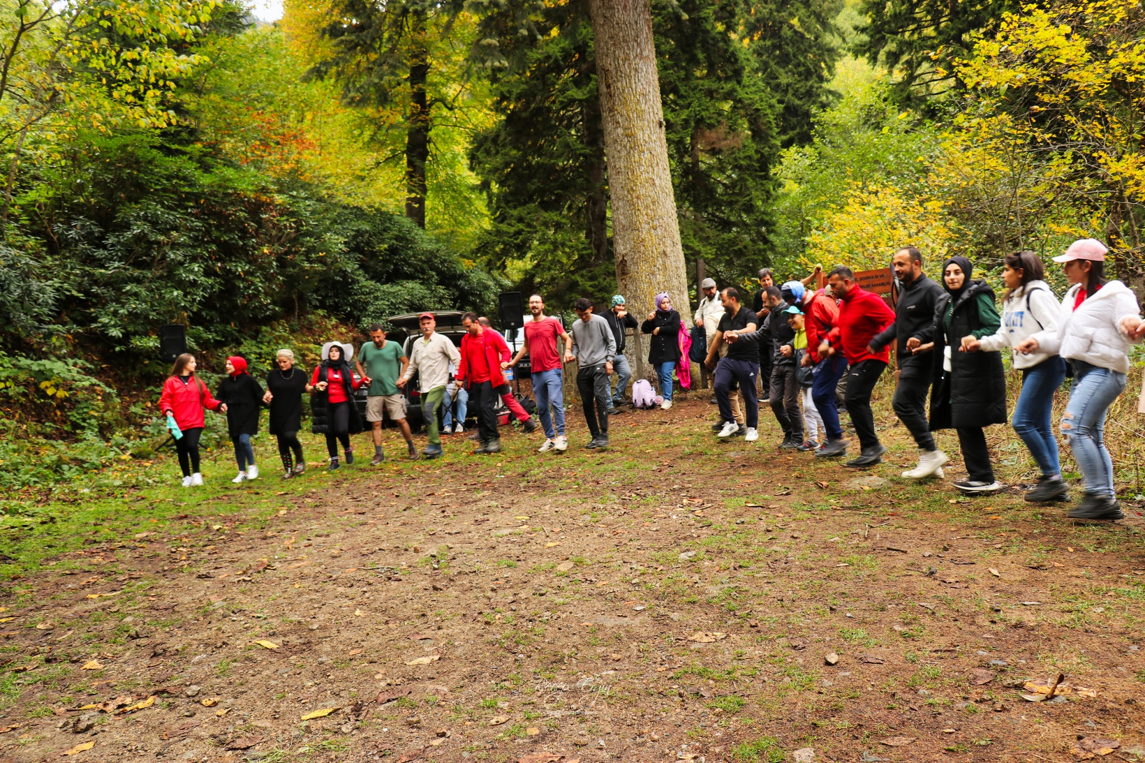 Doğa harikası Örümcek Ormanlarında renk cümbüşü başladı 25