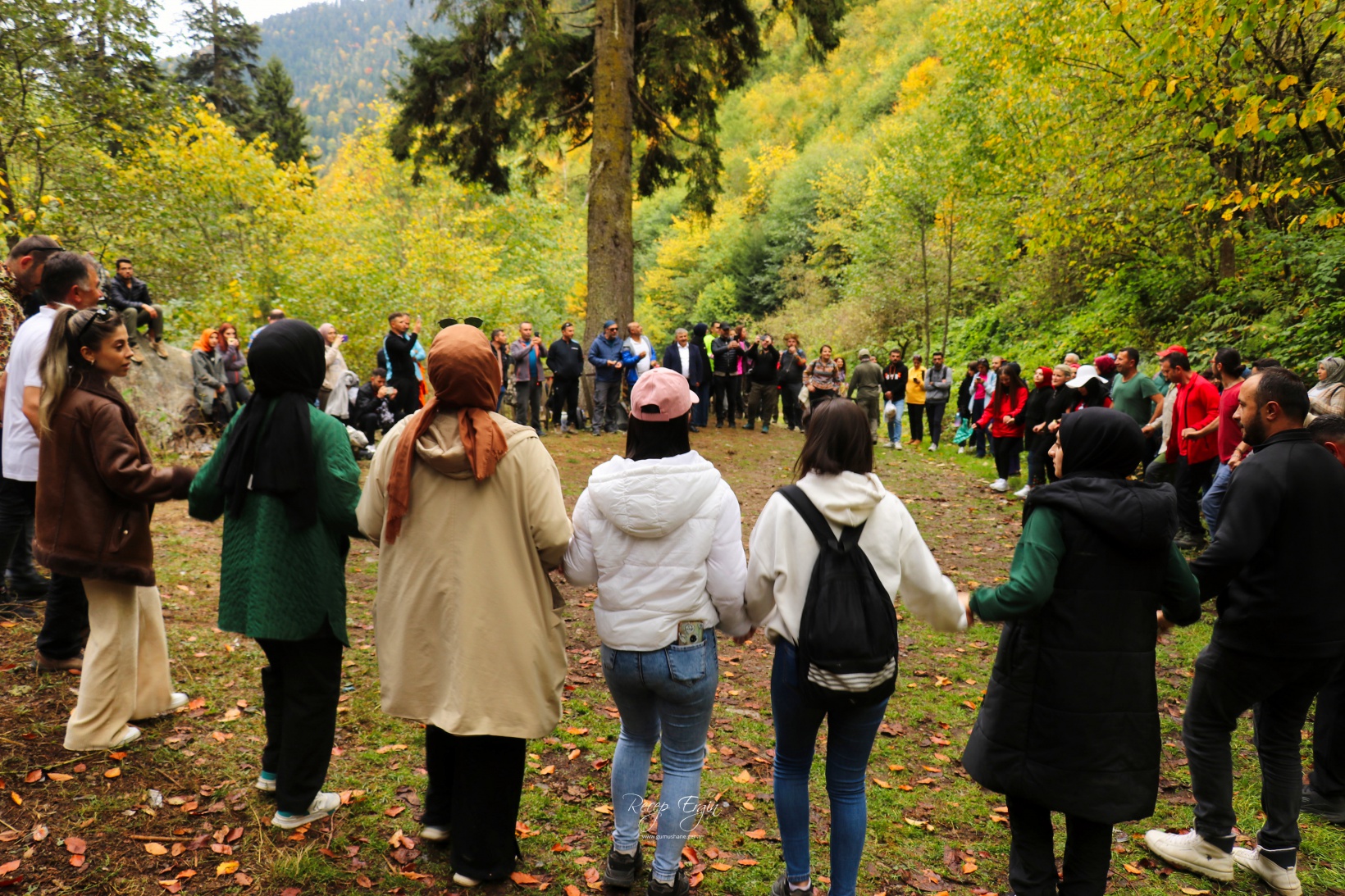 Doğa harikası Örümcek Ormanlarında renk cümbüşü başladı 43