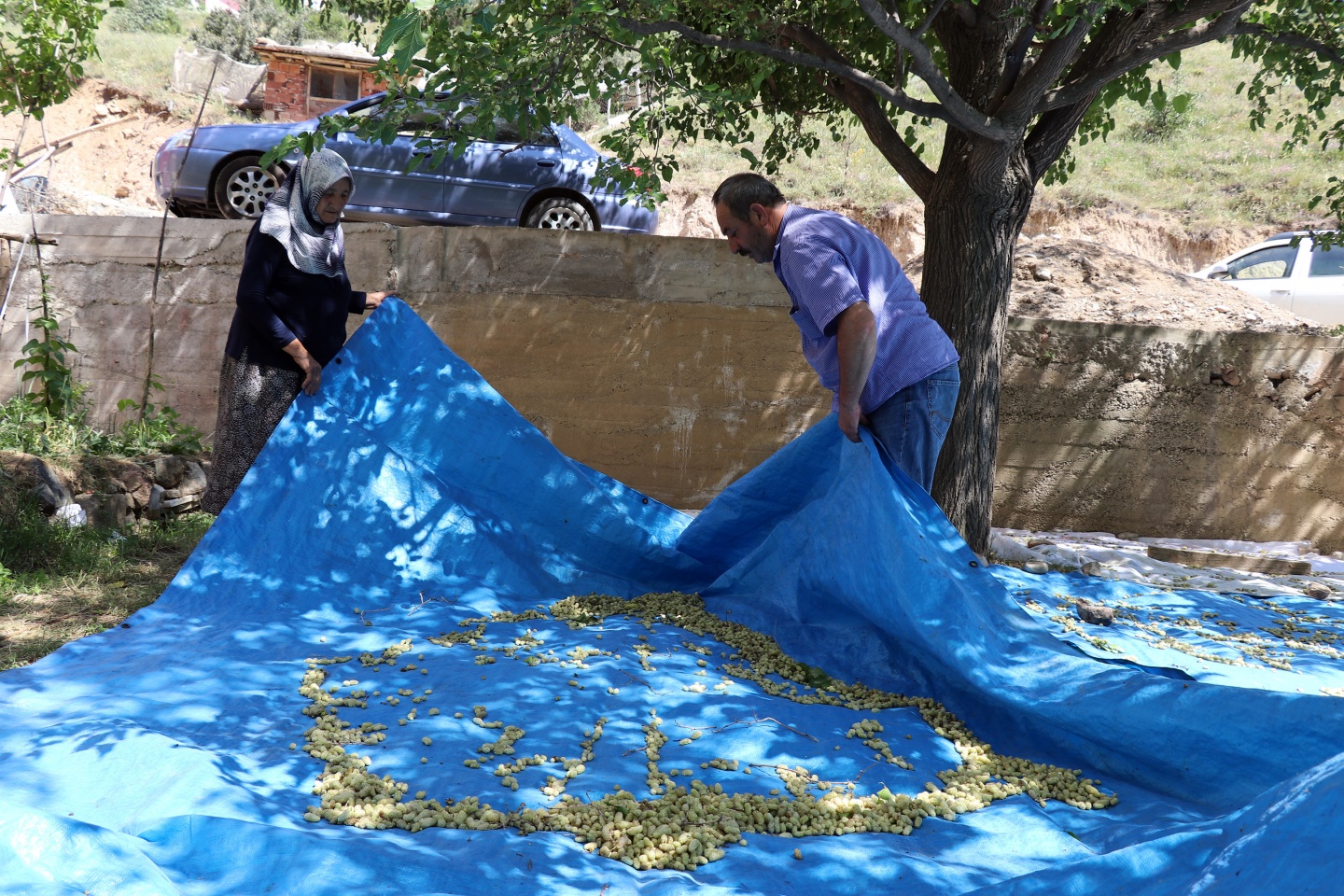 Şifa kaynağı dut pekmezinin zorlu serüveni 11