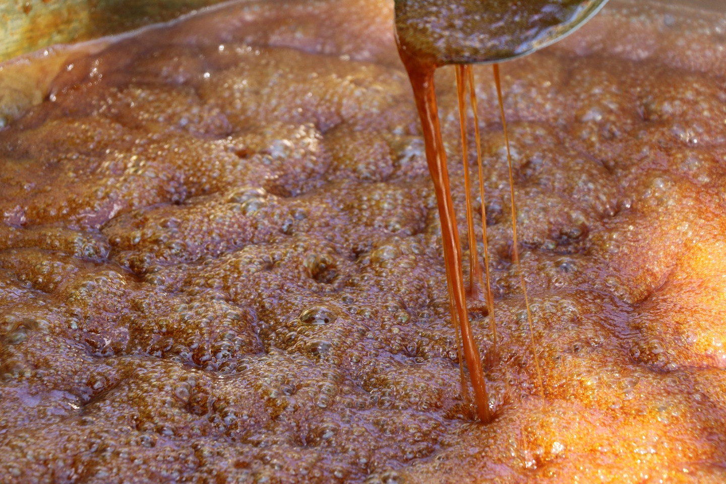 Şifa kaynağı dut pekmezinin zorlu serüveni 14