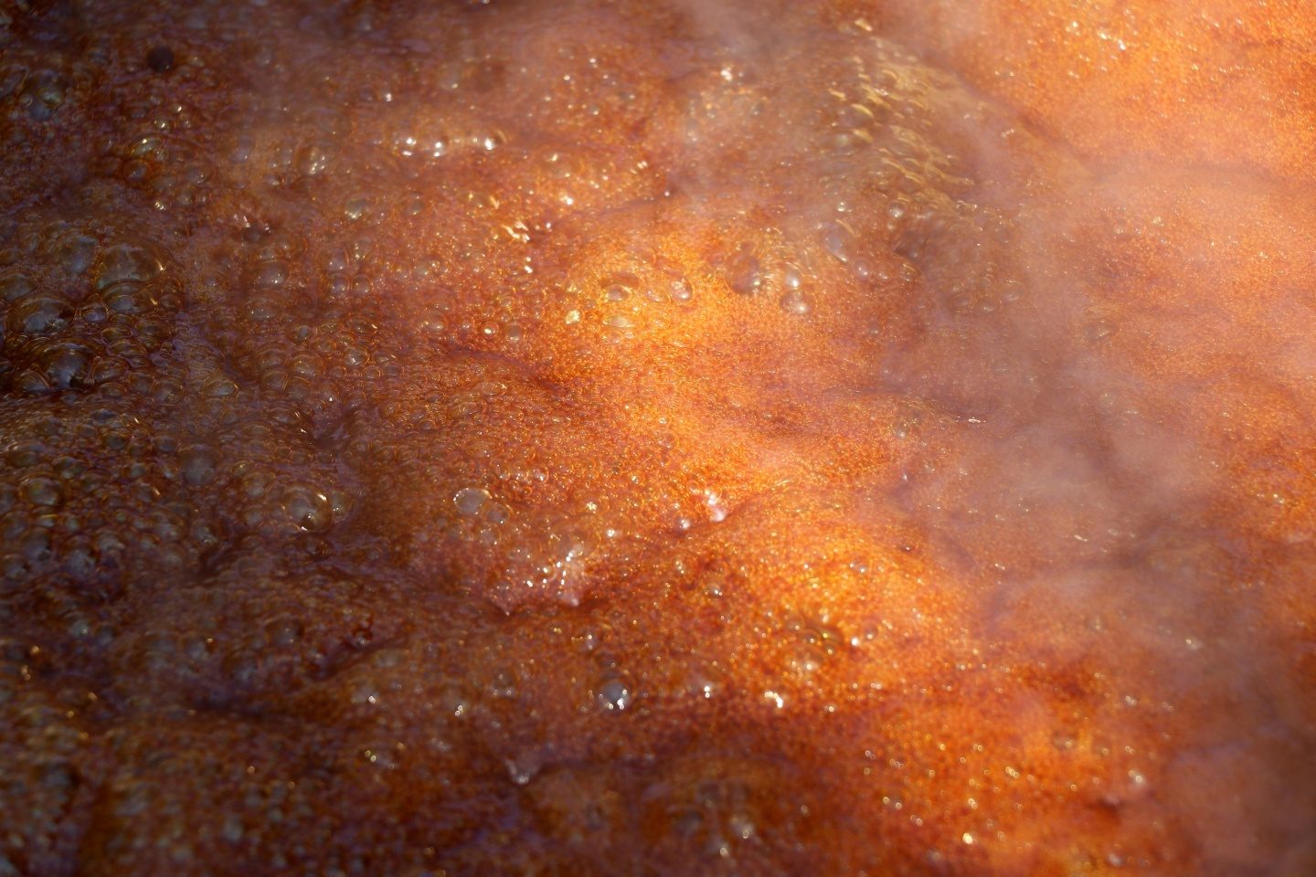 Şifa kaynağı dut pekmezinin zorlu serüveni 16