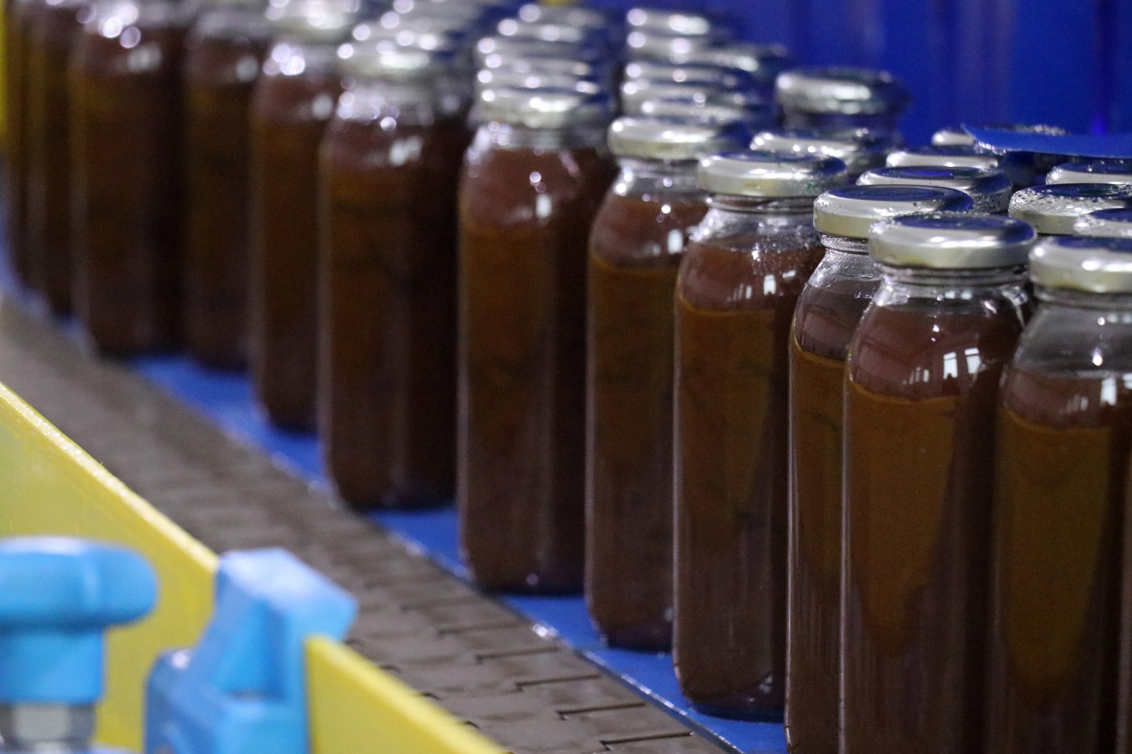 Gümüşhane'nin şifa dolu hazinesi Kuşburnu Nektarı coğrafi işaret aldı 14