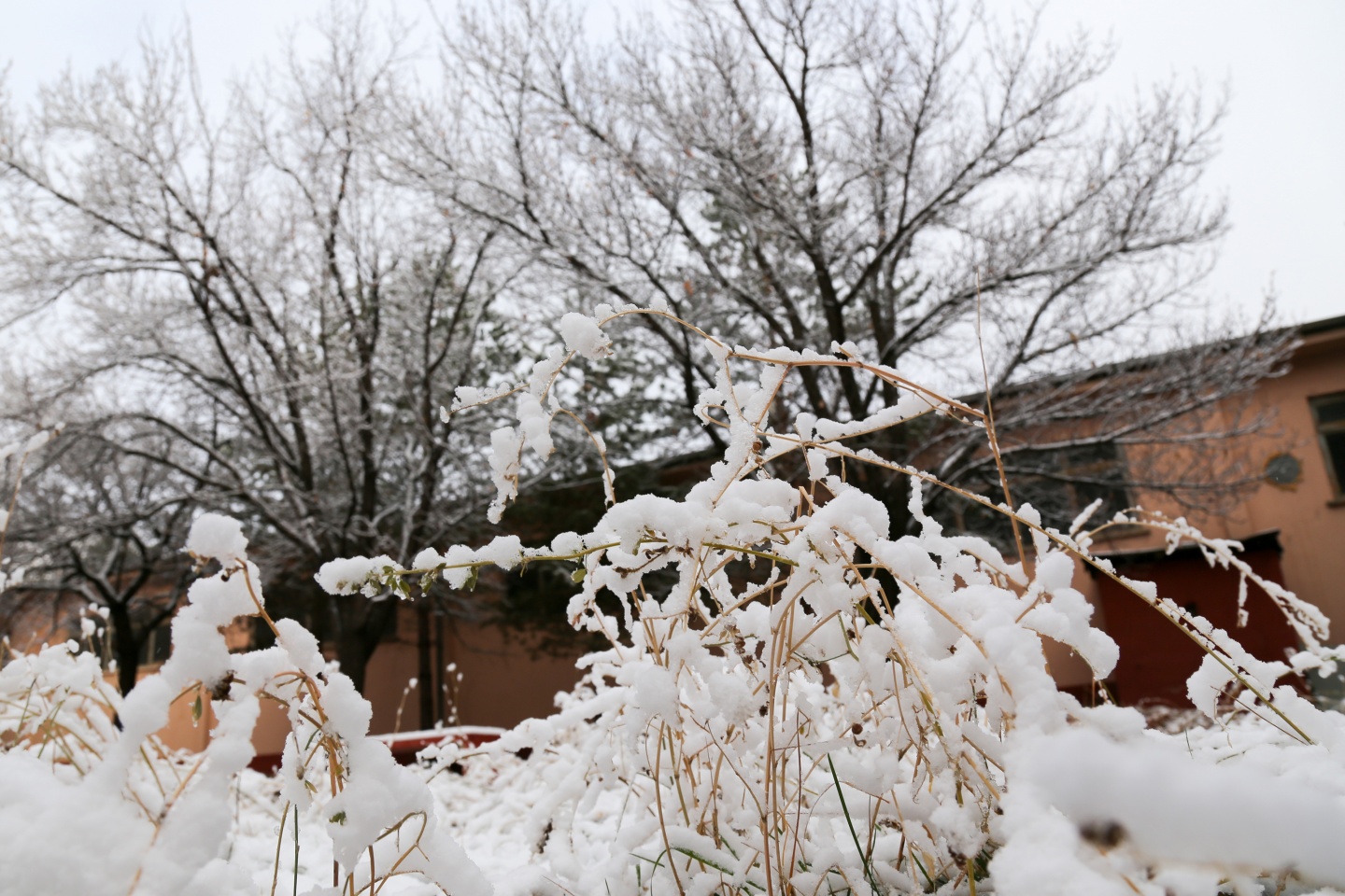 Gümüşhane’de kar yağışı 41