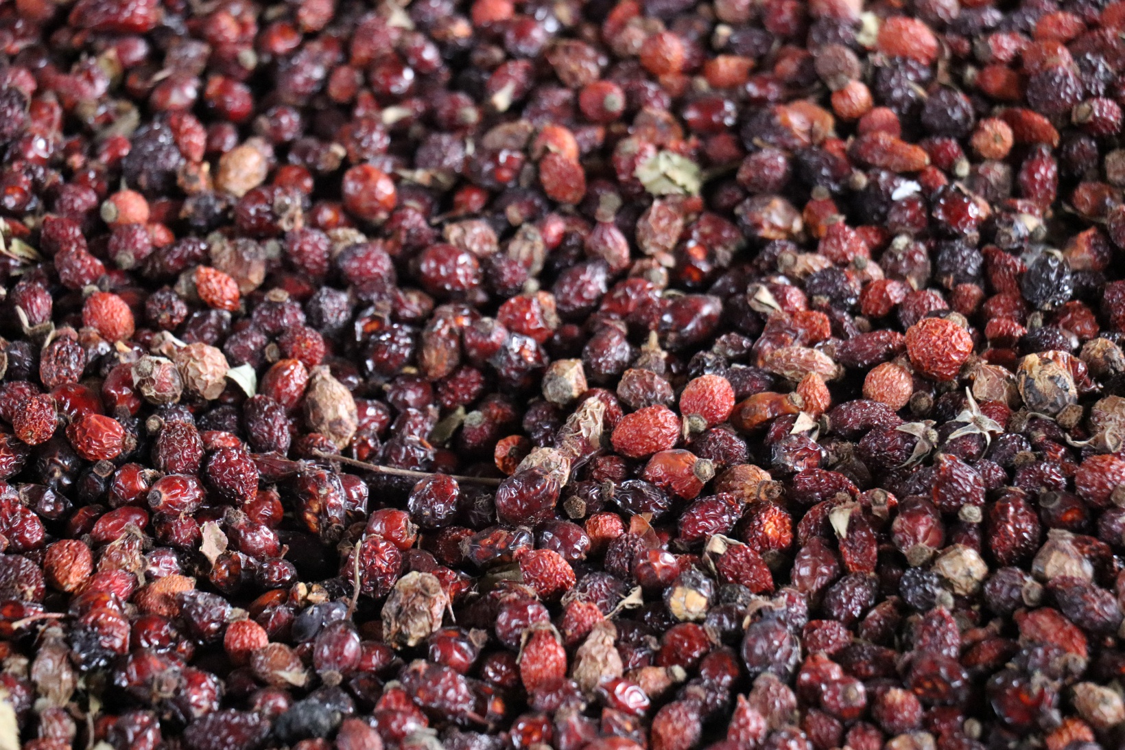 Gümüşhane'nin şifa dolu hazinesi Kuşburnu Nektarı coğrafi işaret aldı 9