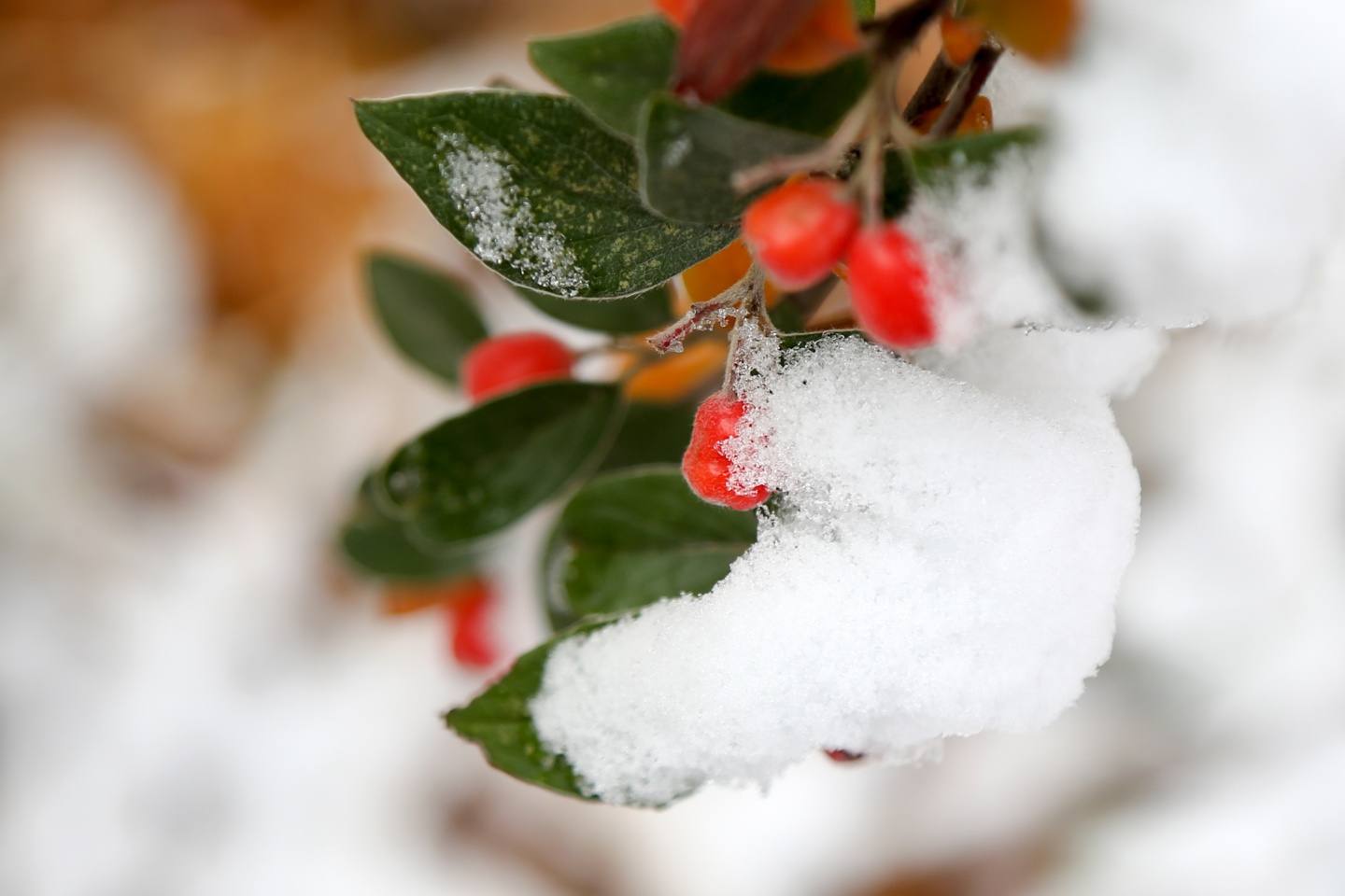 Gümüşhane’de kar yağışı 39
