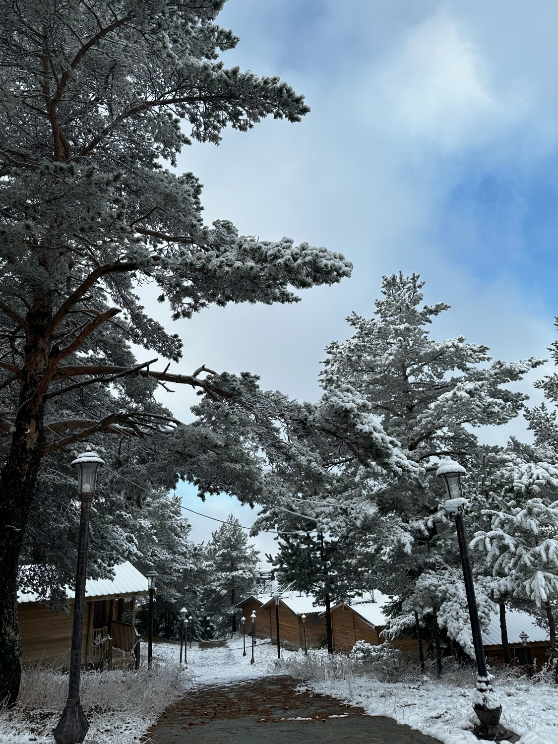 Zigana Dağı'nın eteklerindeki Limni Gölü beyaz gelinliğini giydi 8