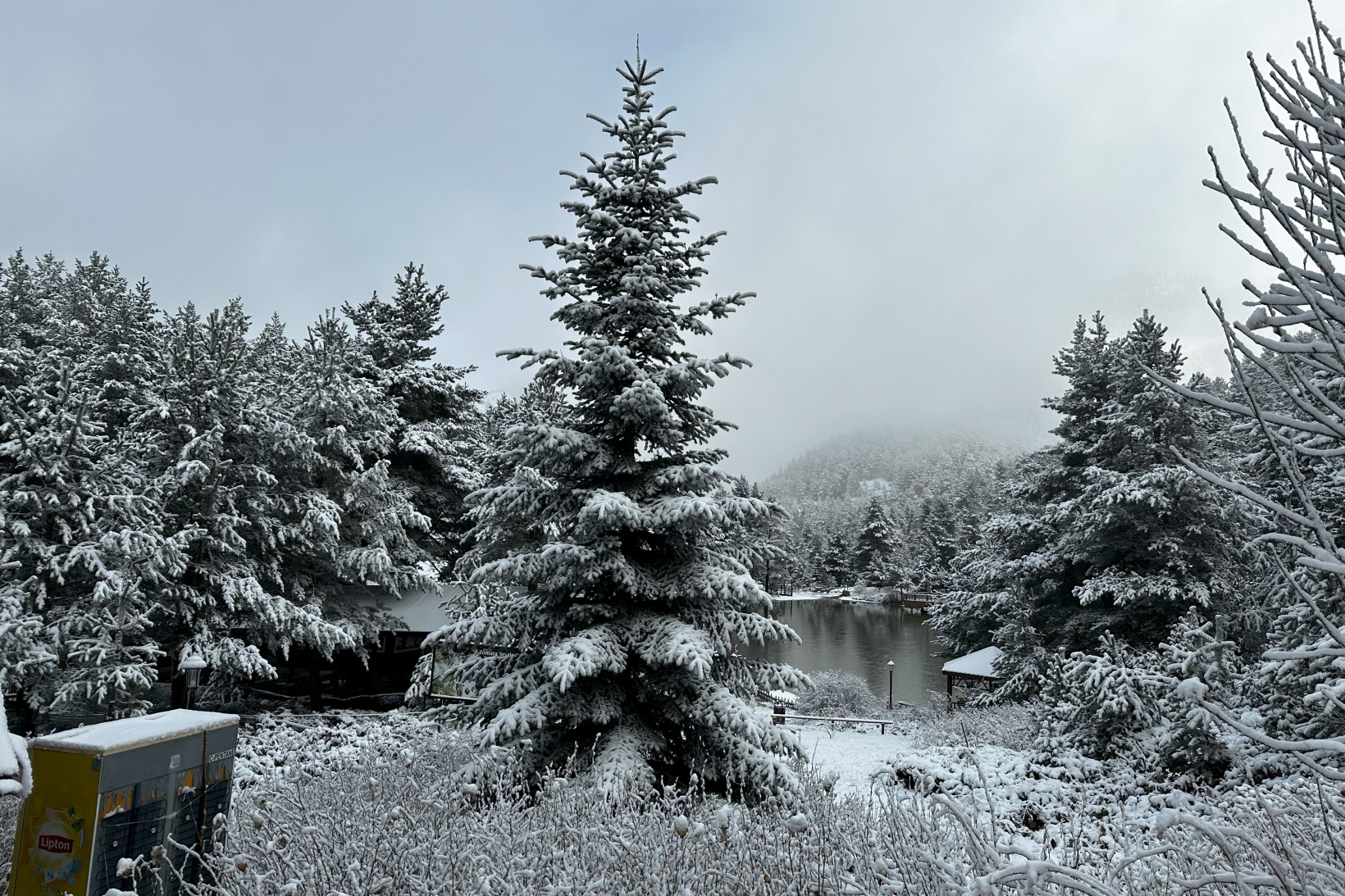 Zigana Dağı'nın eteklerindeki Limni Gölü beyaz gelinliğini giydi 11
