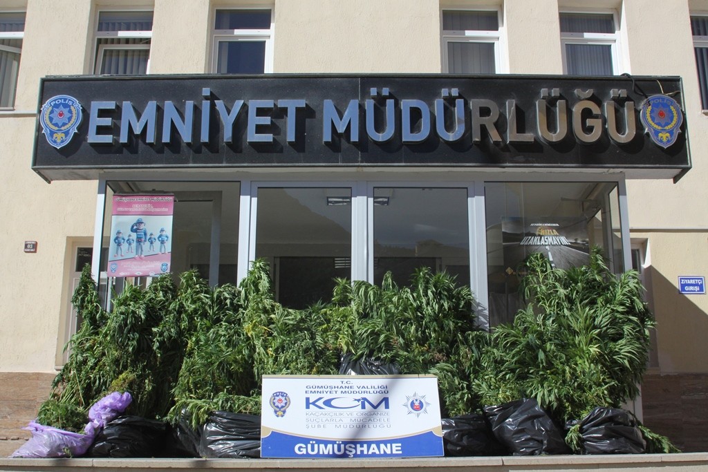 Şiran'da Dev Uyuşturucu Operasyonu 2