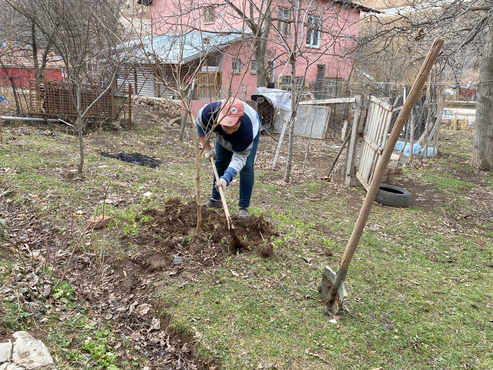 Gümüşhane'de üniversite öğrencisi yaşlı çiftin yardımına koştu 2