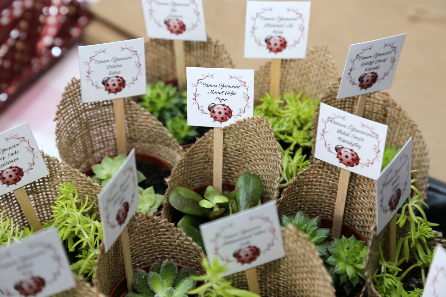 Gümüşhane’de 19 bin 506 öğrenci karne aldı 39