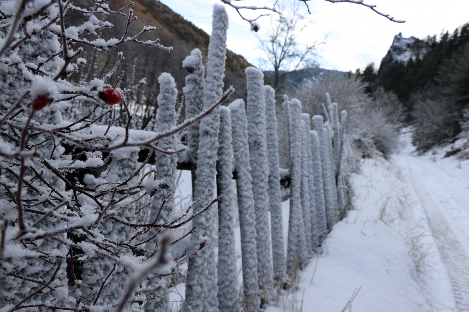 Gümüşhaneli dağcılardan Kalis yaylasına unutulmaz kış yürüyüşü 22