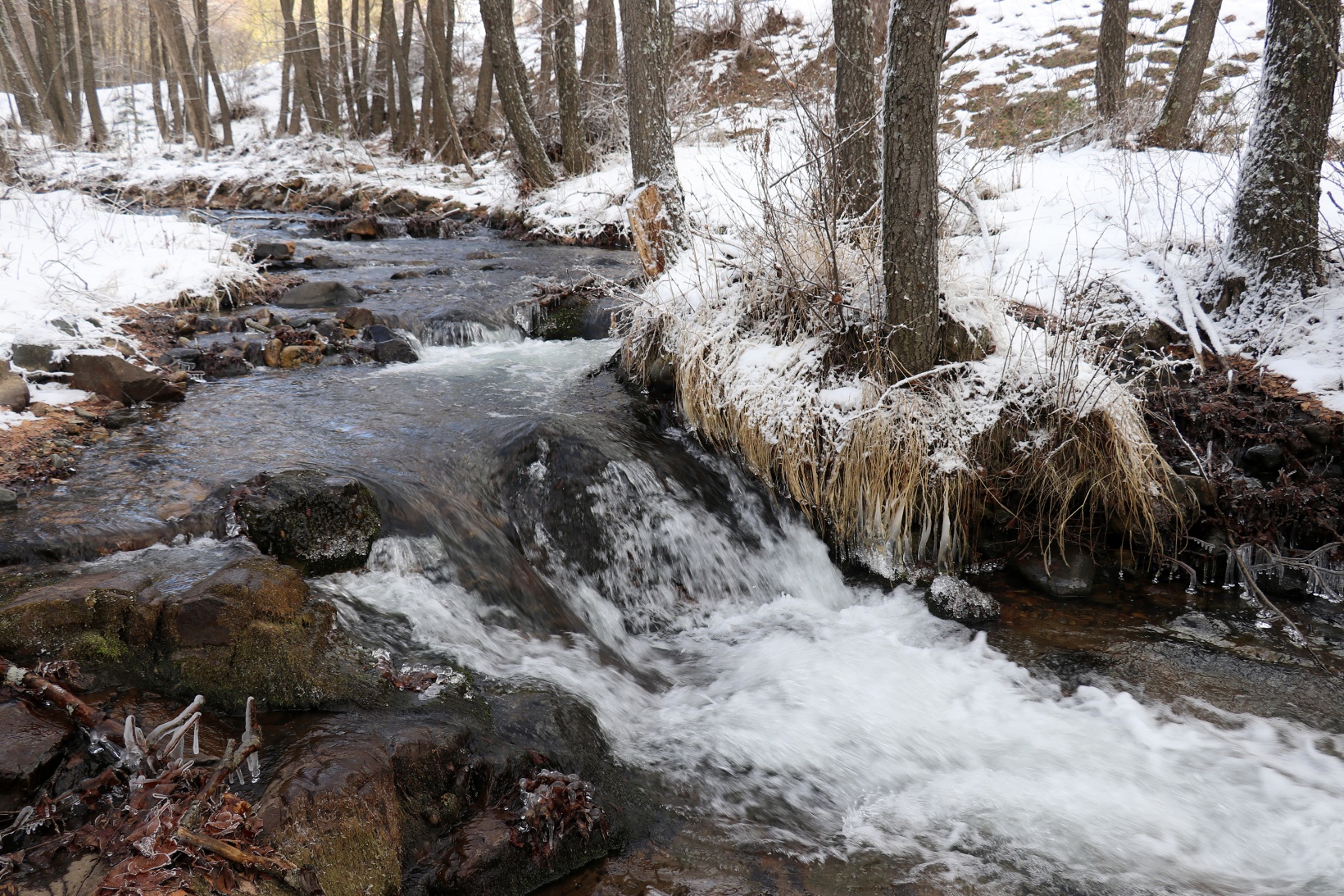 Gümüşhaneli dağcılardan Kalis yaylasına unutulmaz kış yürüyüşü 42