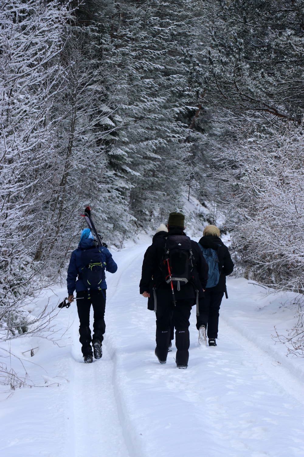 Gümüşhaneli dağcılardan Kalis yaylasına unutulmaz kış yürüyüşü 43