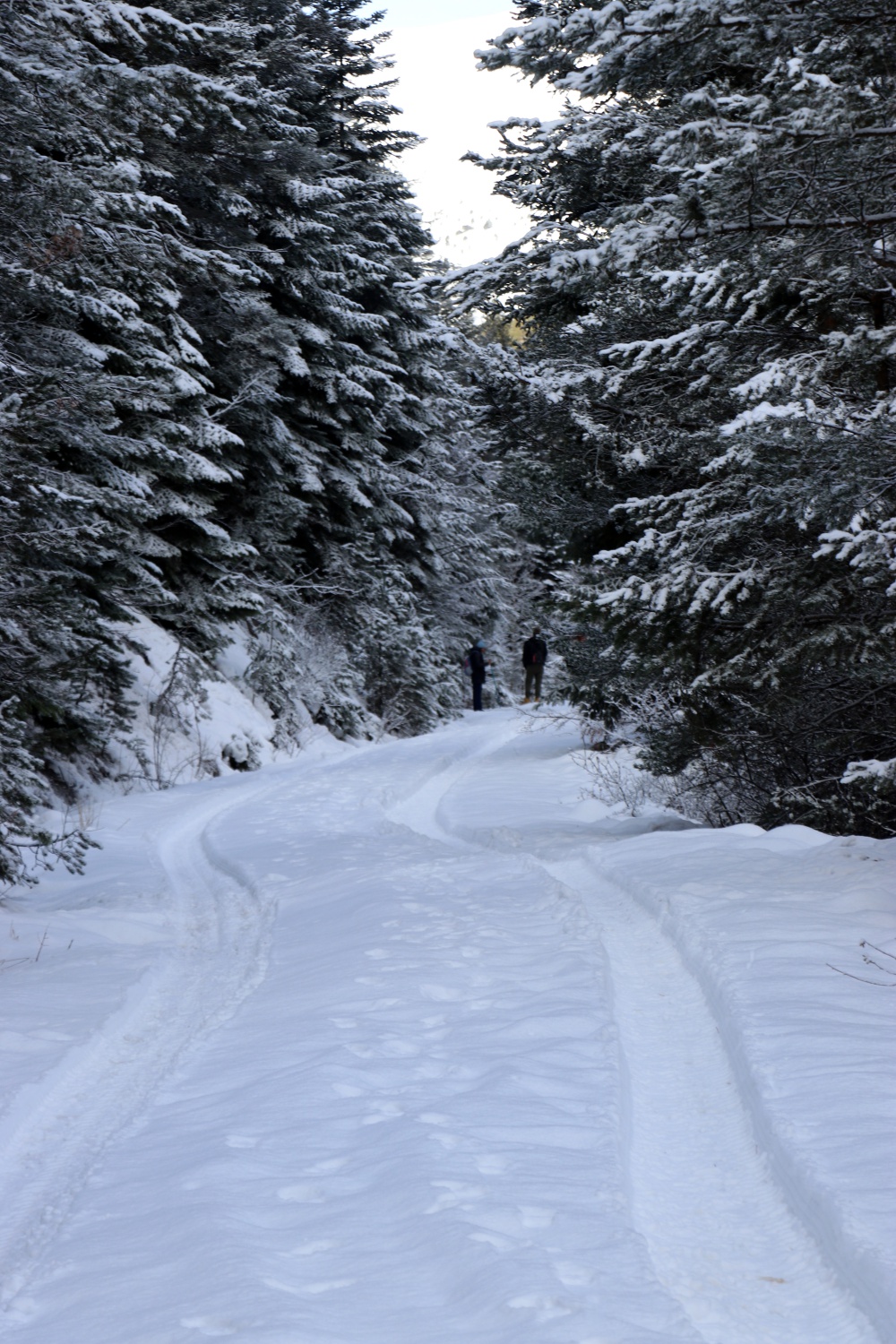 Gümüşhaneli dağcılardan Kalis yaylasına unutulmaz kış yürüyüşü 69