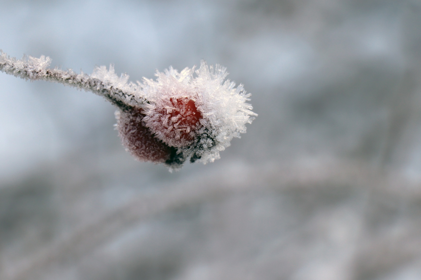 Gümüşhaneli dağcılardan Kalis yaylasına unutulmaz kış yürüyüşü 31