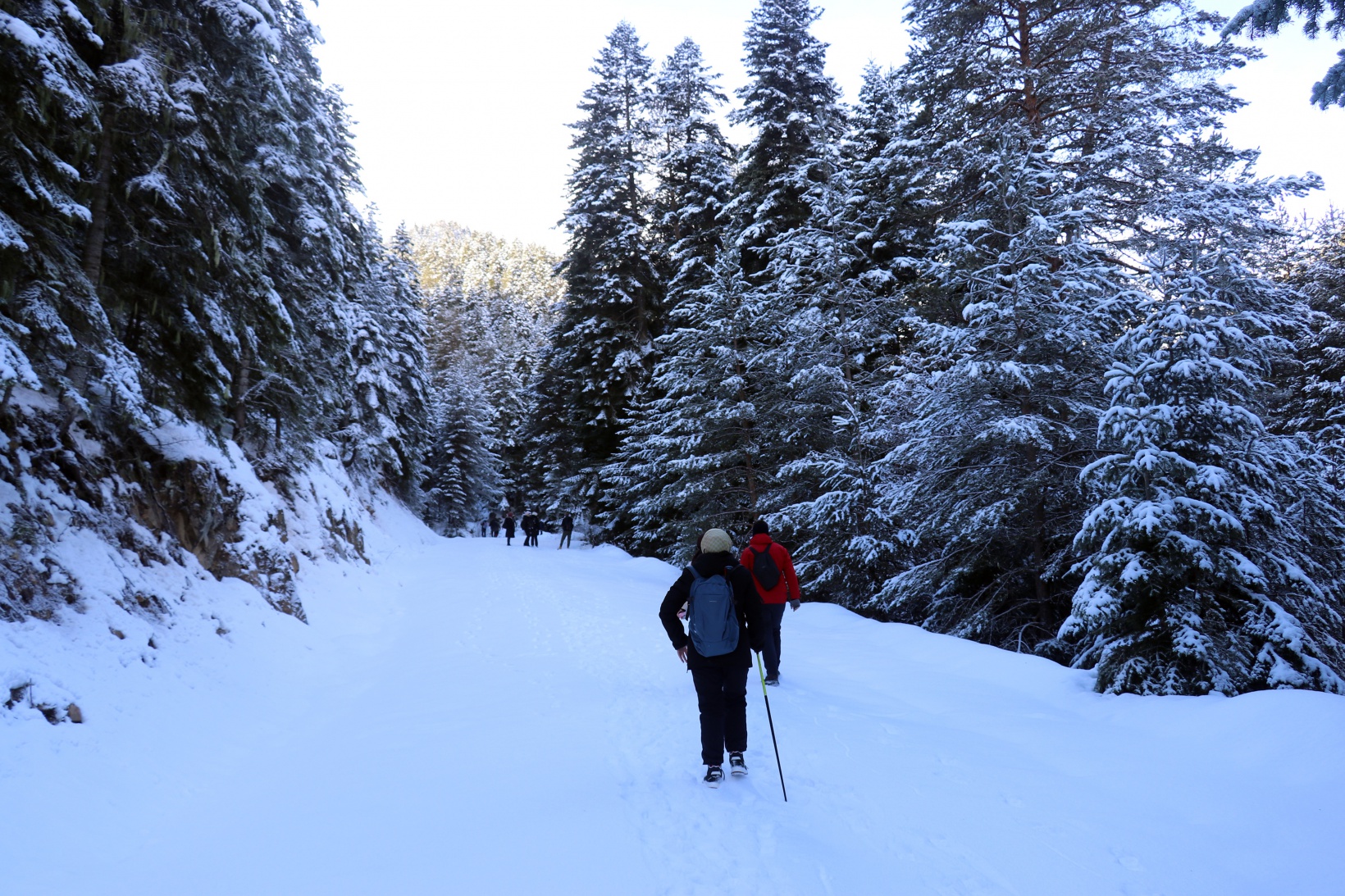 Gümüşhaneli dağcılardan Kalis yaylasına unutulmaz kış yürüyüşü 70