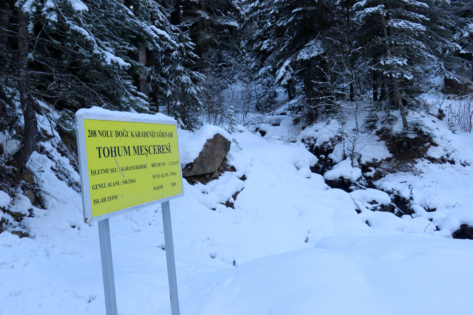Gümüşhaneli dağcılardan Kalis yaylasına unutulmaz kış yürüyüşü 40