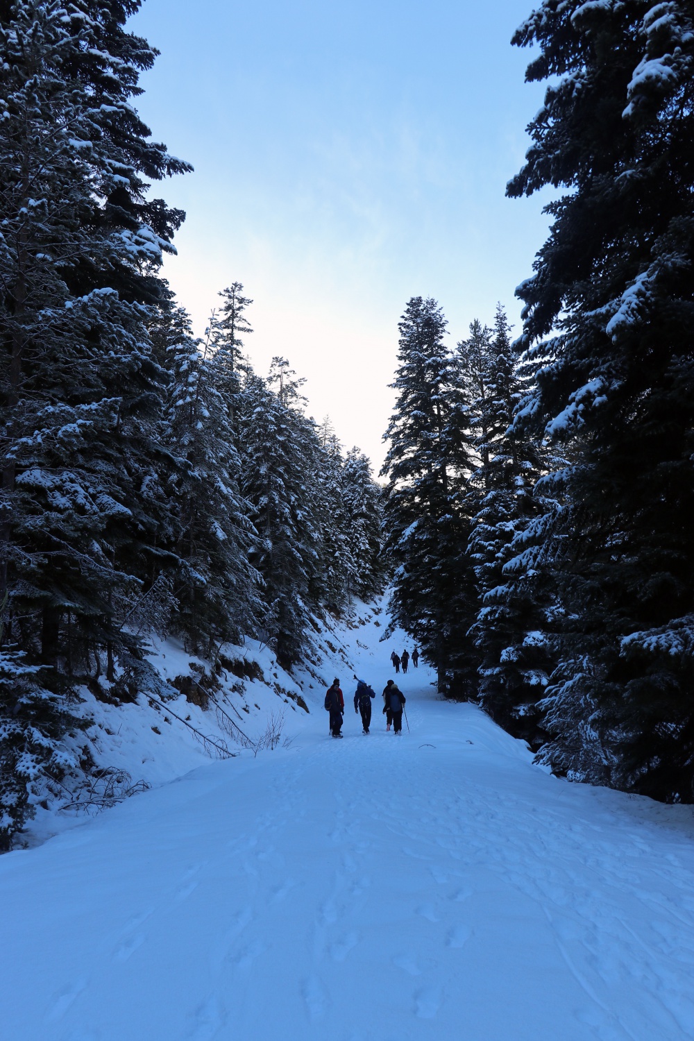 Gümüşhaneli dağcılardan Kalis yaylasına unutulmaz kış yürüyüşü 72