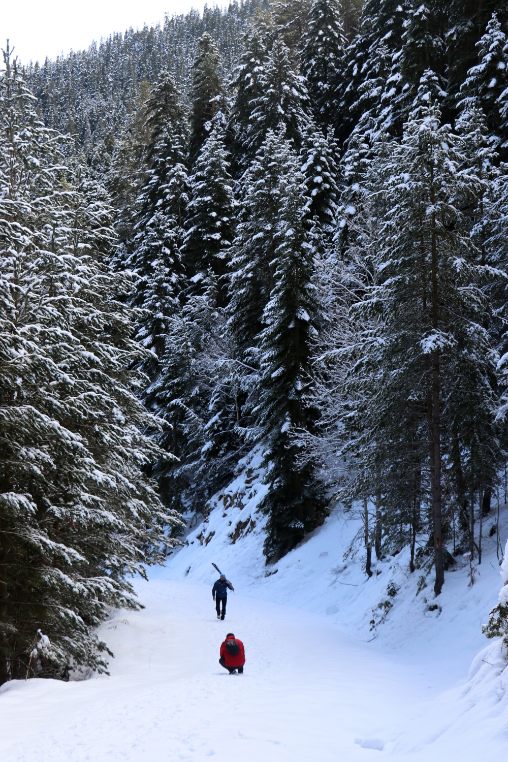 Gümüşhaneli dağcılardan Kalis yaylasına unutulmaz kış yürüyüşü 11