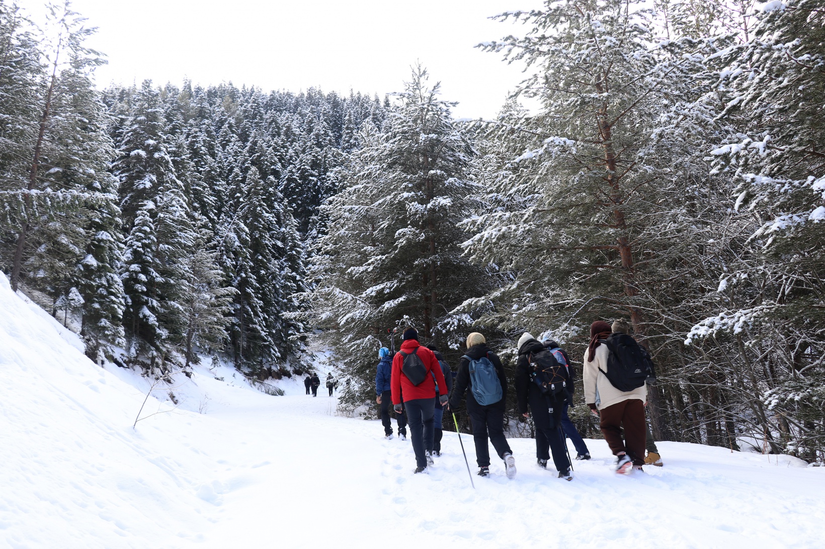 Gümüşhaneli dağcılardan Kalis yaylasına unutulmaz kış yürüyüşü 25